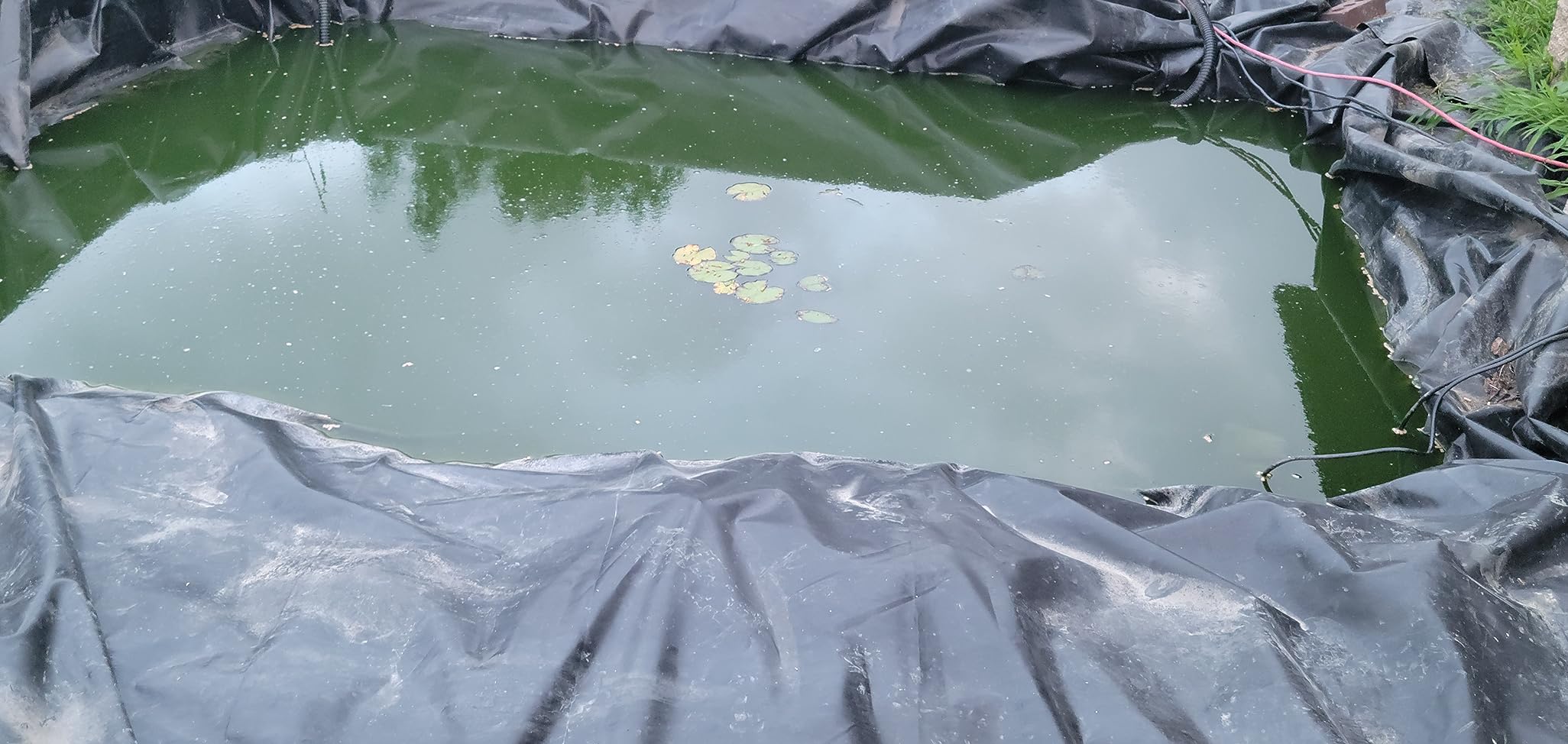 Aquascape 95053 UltraKlean 2000 Gallon Biological Pressure Filter with 14 Watt UV Clarifier Sterilizer customer photo 2