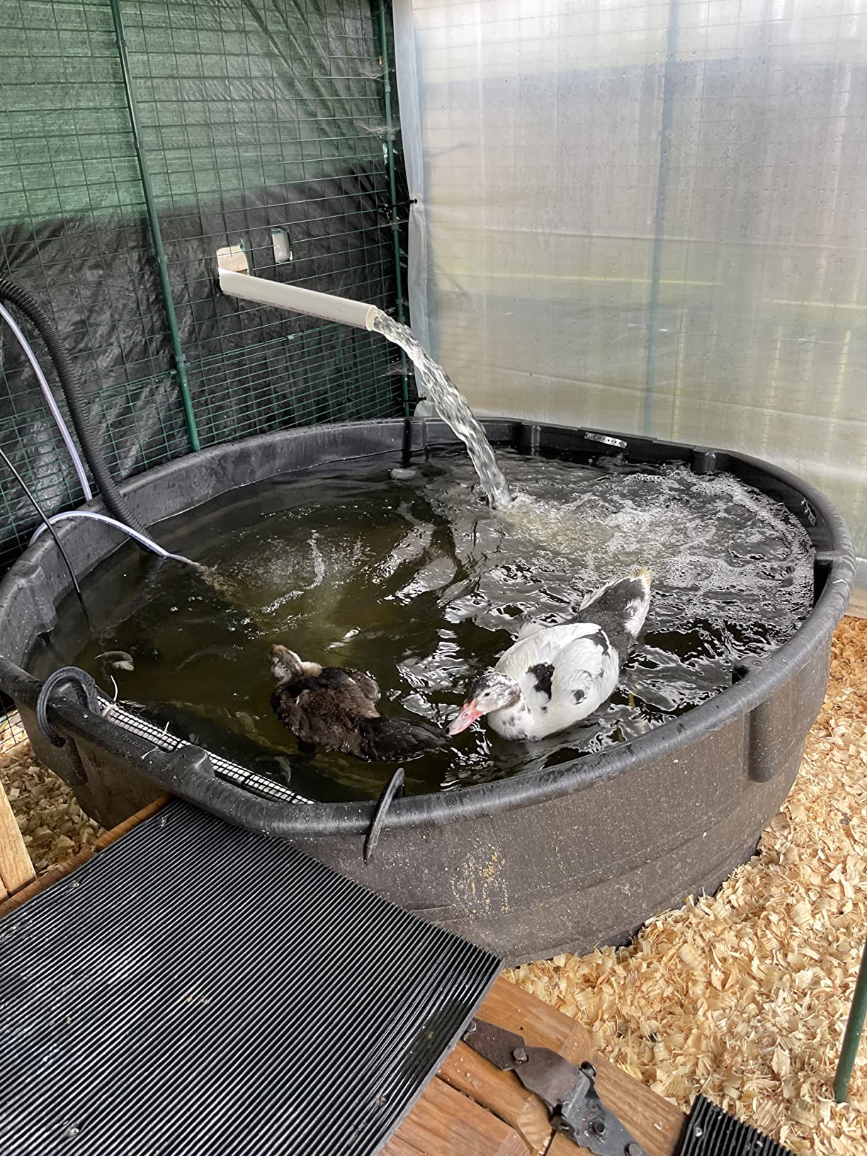 OASE BioSmart 5000 Pond Filter customer photo 2