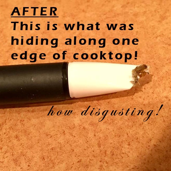 OXO Good Grips Kitchen Appliance Cleaning Set customer photo 1