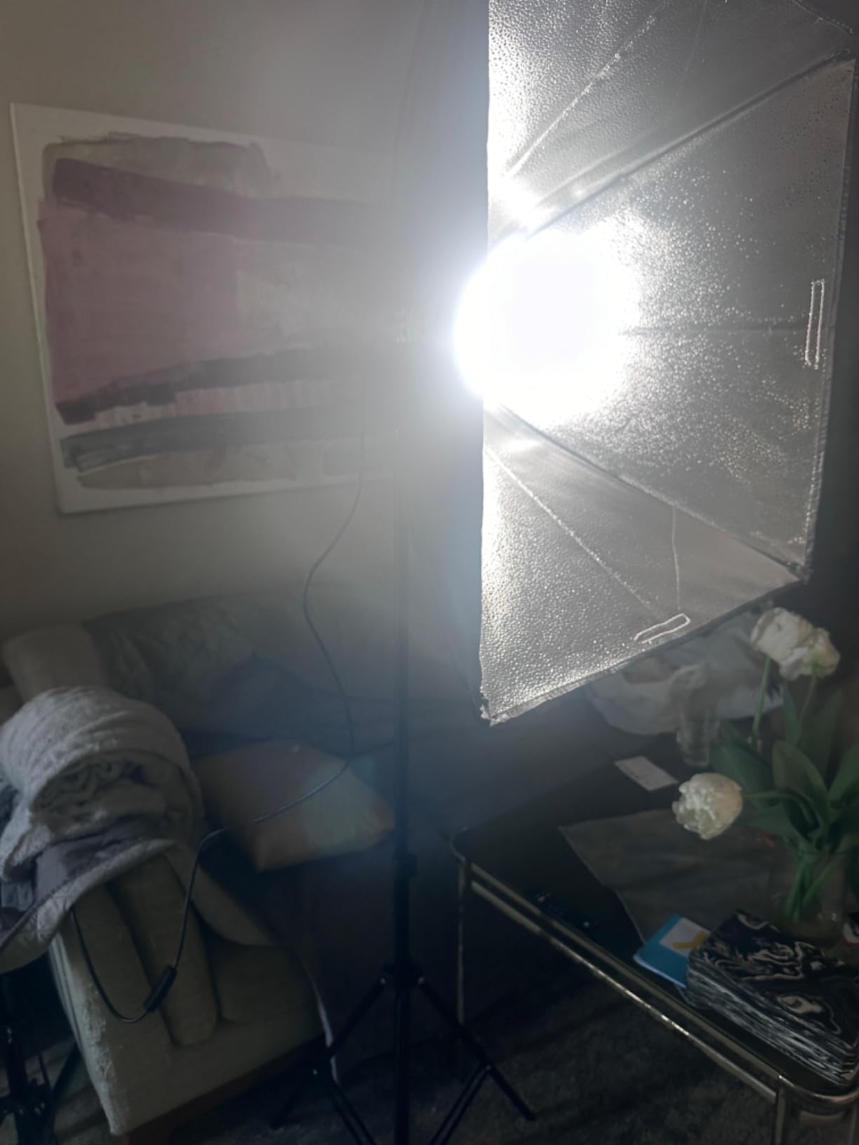 NEEWER 700W Equivalent Softbox Lighting Kit, 2Pack UL Certified 5700K LED Lighting Bulbs, 24x24 inches Softboxes customer photo 1