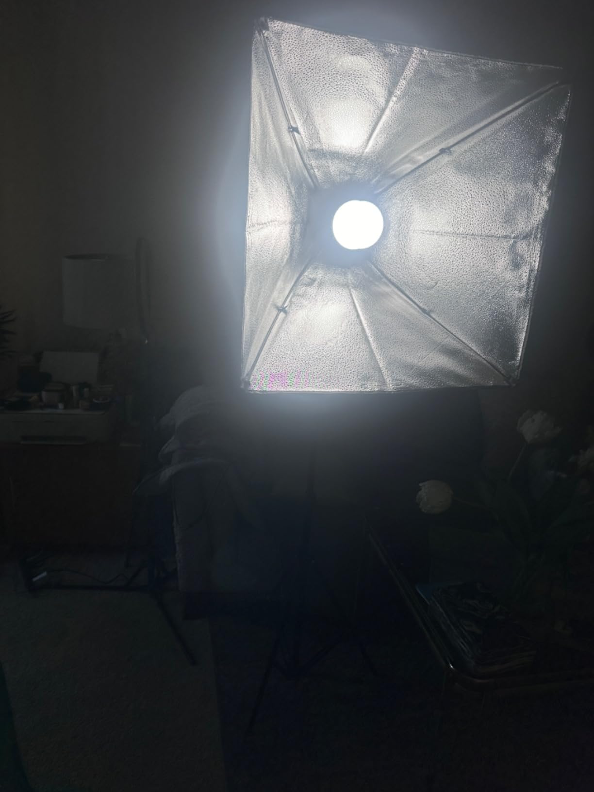 NEEWER 700W Equivalent Softbox Lighting Kit, 2Pack UL Certified 5700K LED Lighting Bulbs, 24x24 inches Softboxes customer photo 2
