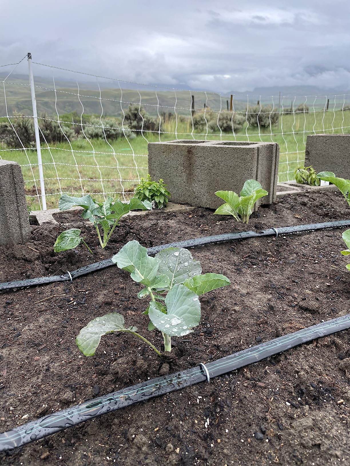 Drip Irrigation Kit for Small Farms - Deluxe Kit customer photo 1
