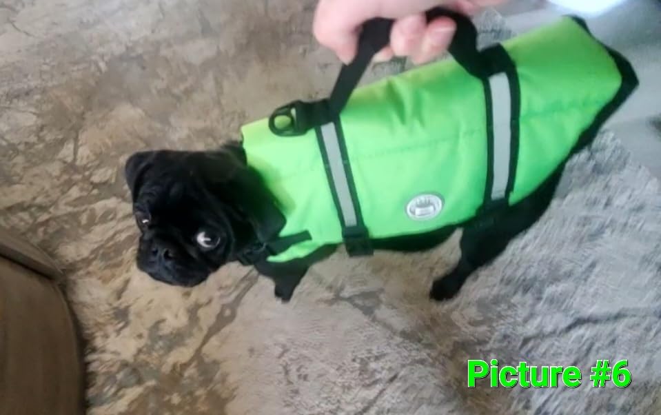 VIVAGLORY Rip Stop Dog Life Vest, Swimming Vest with Handle, Buoyancy for Doggy Puppy, Dog Life Jacket for Swimming & Boating, M, Bright Yellow customer photo 2