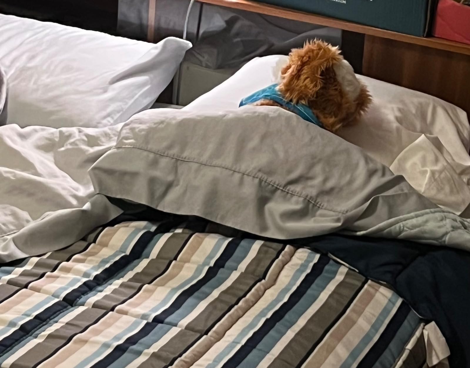 JOY FOR ALL Ageless Innovation Companion Pet for Seniors - Lifelike Animatronic Dog - Realistic Soft-Touch Coat & Heartbeat - Therapy Stuffed Animal - Toy for Alzheimer's & Dementia - Golden Pup customer photo 1