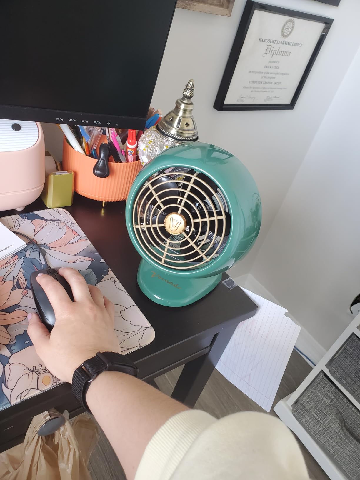 Vornado VFAN Mini Fan, Classic Vintage Fan, Retro Metal Air Circulator, For Desk & Bedside, 2 Speeds, Adjustable Tilt, Personal Cooling with Targeted Airflow, Quiet Fan, Green customer photo 1