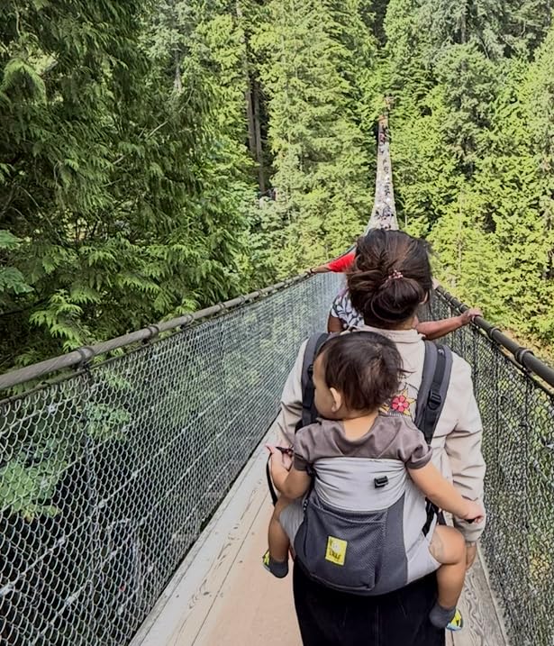 LÍLLÉbaby 3-in-1 Ergonomic CarryOn Airflow Toddler Carrier with Lumbar Support & Breathable Mesh (25-60 lbs), Multi-Position Carrying for Hiking & Travel, Charcoal/Silver customer photo 1