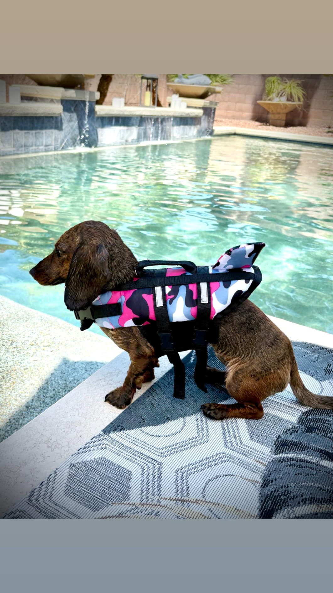 Ripstop Dog Life Jacket Shark Life Vest for Dogs, Safety Lifesaver with High Buoyancy and Lift Handle for Small and Medium Breeds (Rose Red XS) customer photo 2