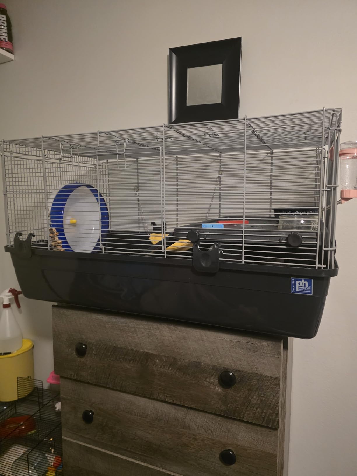 Prevue Pet Products Universal Small Animal Home - Small Animal Cage for Hamsters, Guinea Pigs, Ferrets, Dwarf Rabbits, Rats, Chinchillas, Hedgehogs, Indoor Use, Tight Wire Spacing - Gray customer photo 2