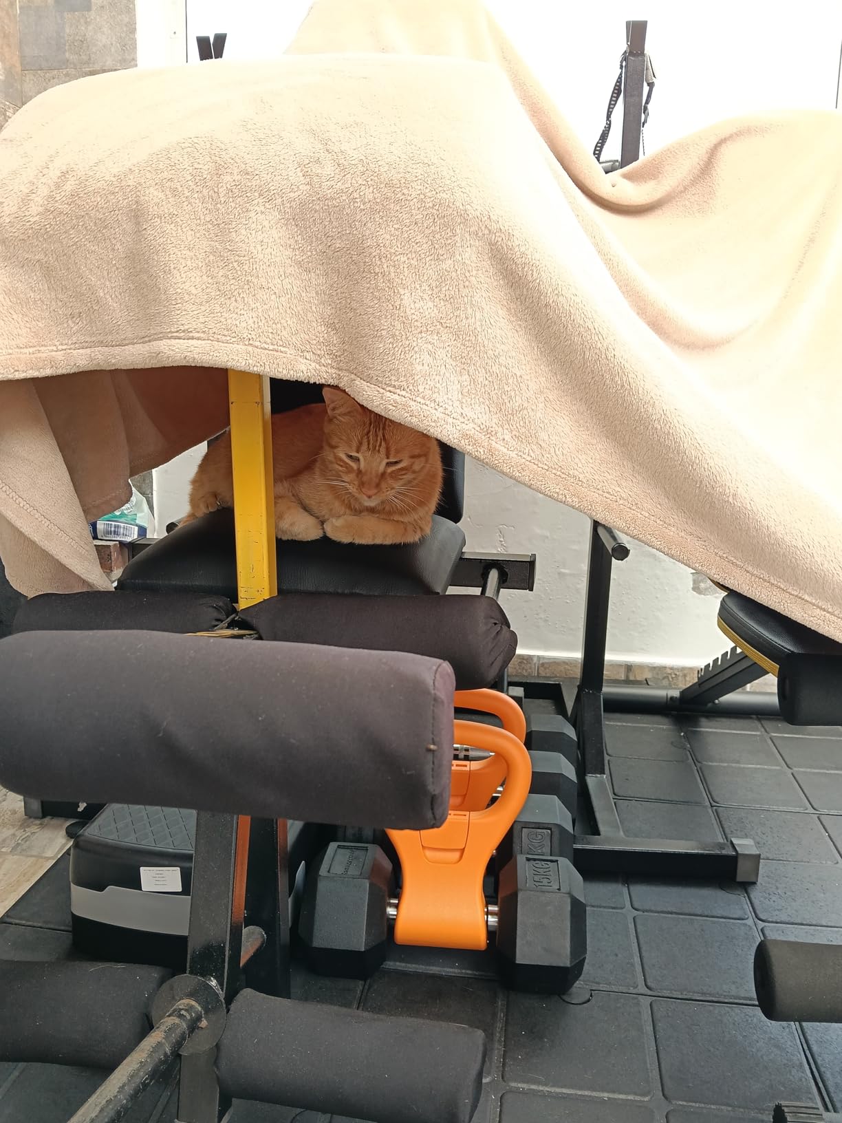 KETTLE GRYP - The Original - As Seen on SHARK TANK! Converts Your Dumbbells Into Kettlebells customer photo 1