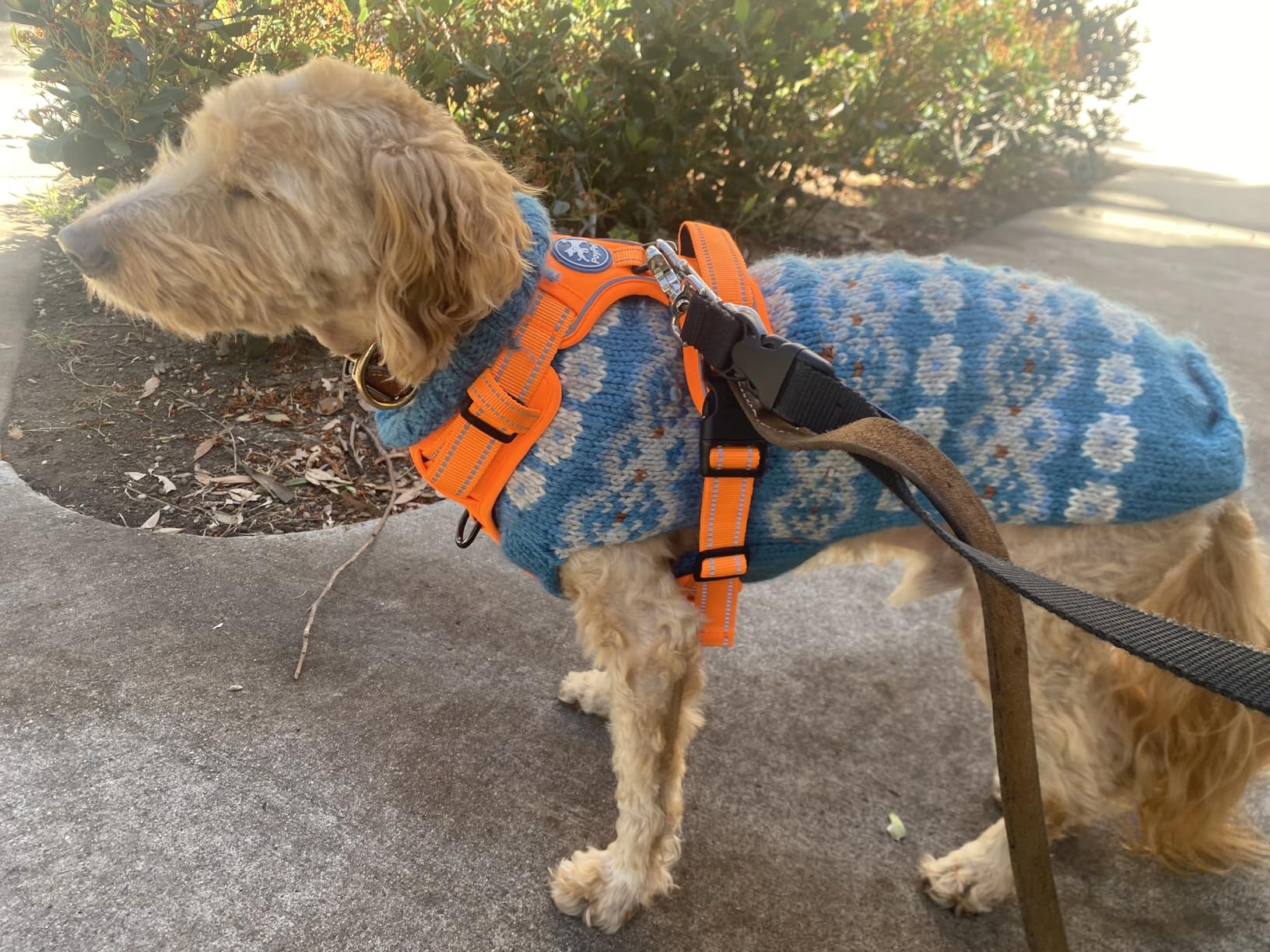 PoyPet No Pull Dog Harness, No Choke Front Lead Dog Reflective Harness, Adjustable Soft Padded Pet Vest with Easy Control Handle for Small to Large Dogs, Pink, Medium customer photo 1