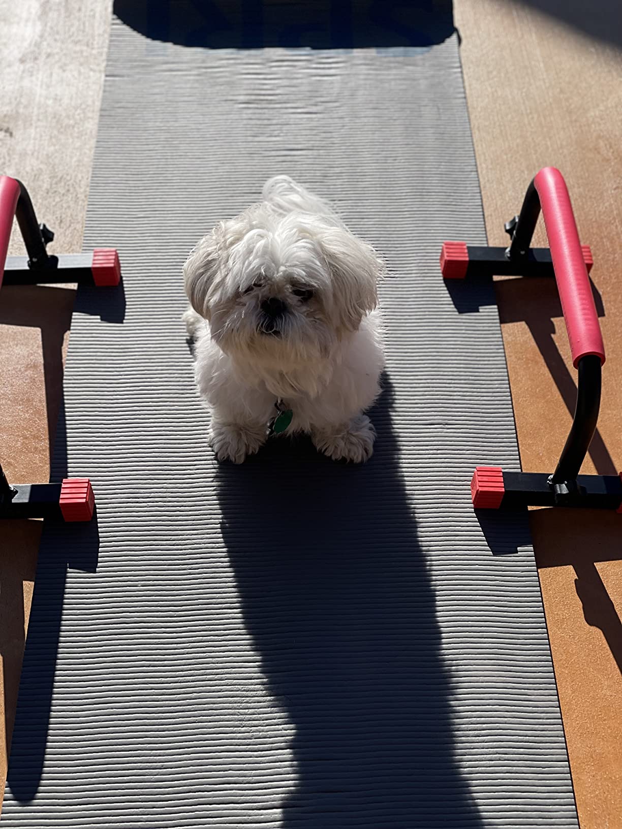 Rubberbanditz Parallette, Parallel Bars & Dip Station | At Home Gym Workout Equipment, L-Sit Bars & Calisthenics Equipment for Home. Perfect for Push Ups, Dips, Handstands & Gymnastics customer photo 1