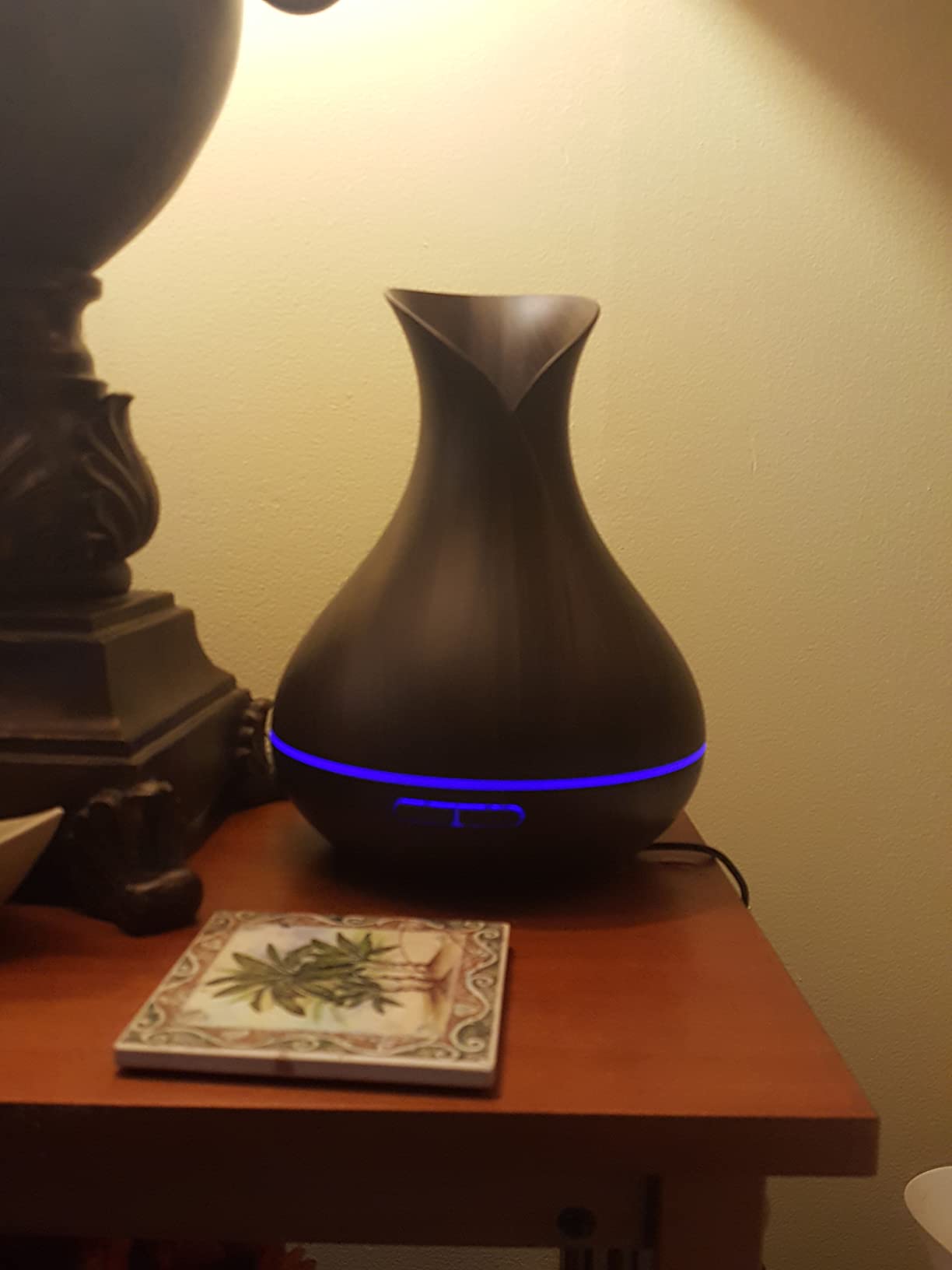 Sierra Modern Home Smart WiFi Humidifier - Aromatherapy Essential Oil Diffusers with App Control & Voice Control - Works with Alexa & Google Home - 400ml Ultrasonic Diffuser & Humidifier customer photo 1