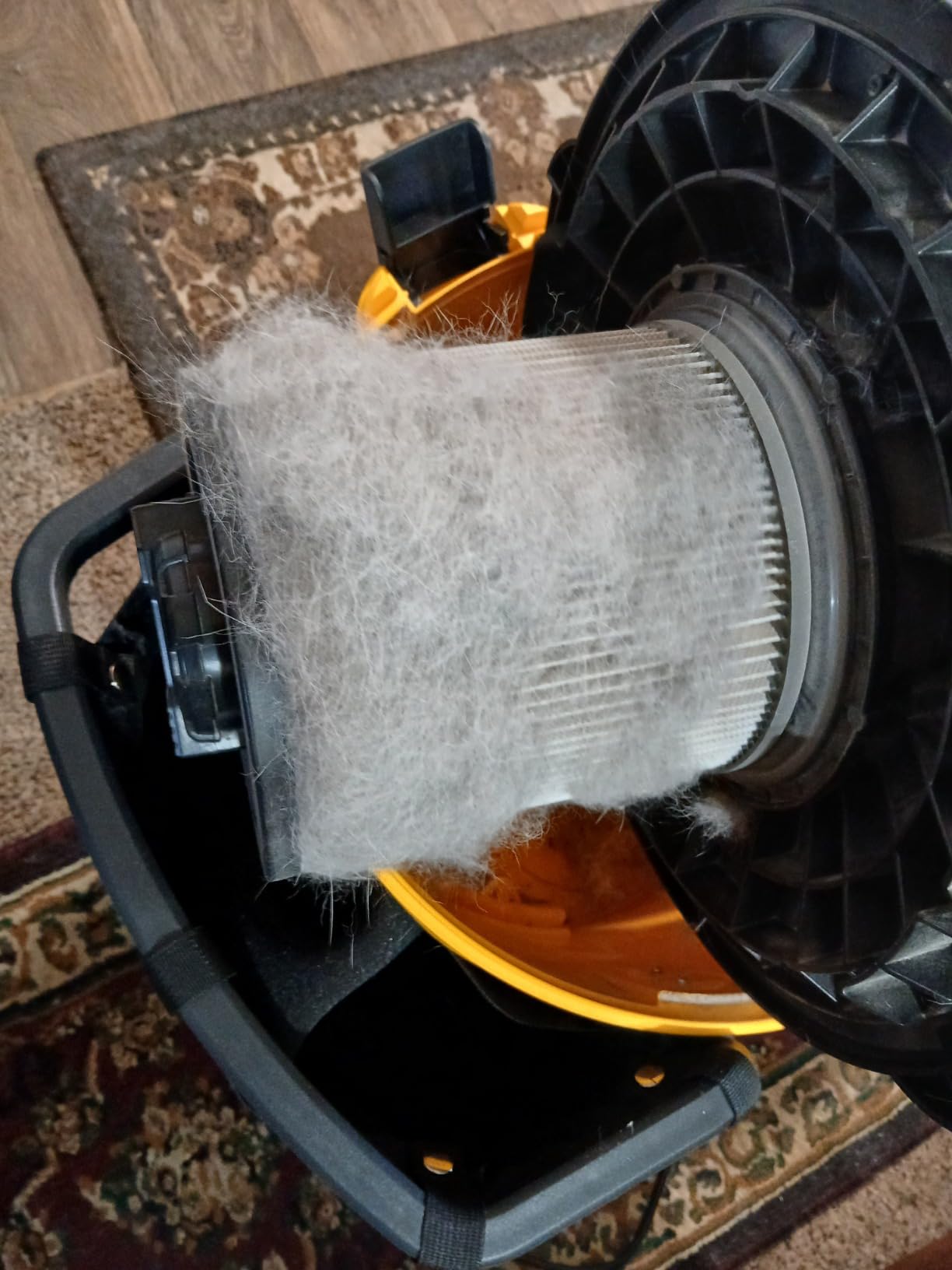 DEWALT DXV16PA 16 Gallon Poly Wet/Dry Vac/Acc, 6.5HP Shop Vacuum customer photo 2