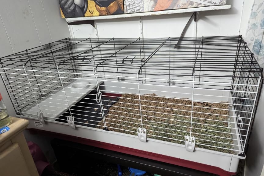Living World Deluxe Rabbit & Guinea Pig Cage, X-Large, White & Red customer photo 2
