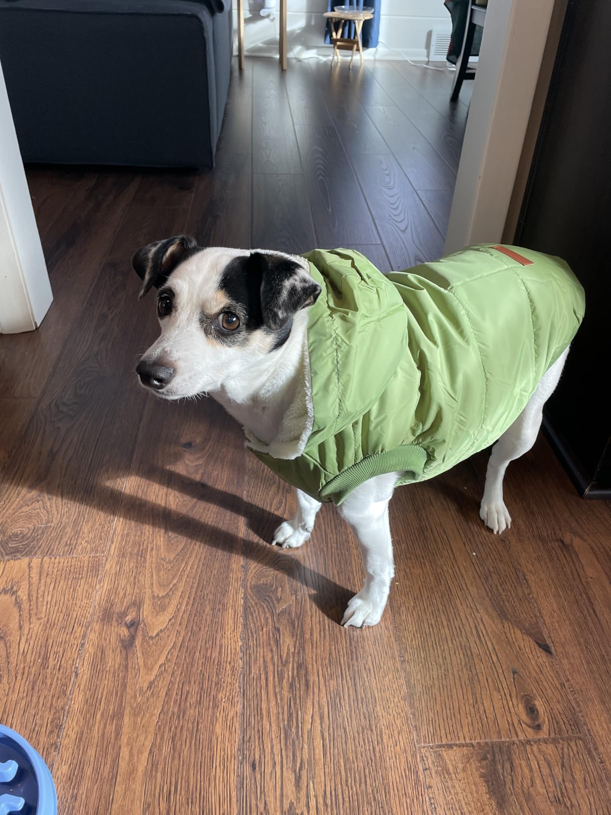 Vecomfy Fleece Lining Extra Warm Dog Hoodie in Winter for Small Dogs Jacket Puppy Coats with Hooded,Red M customer photo 2