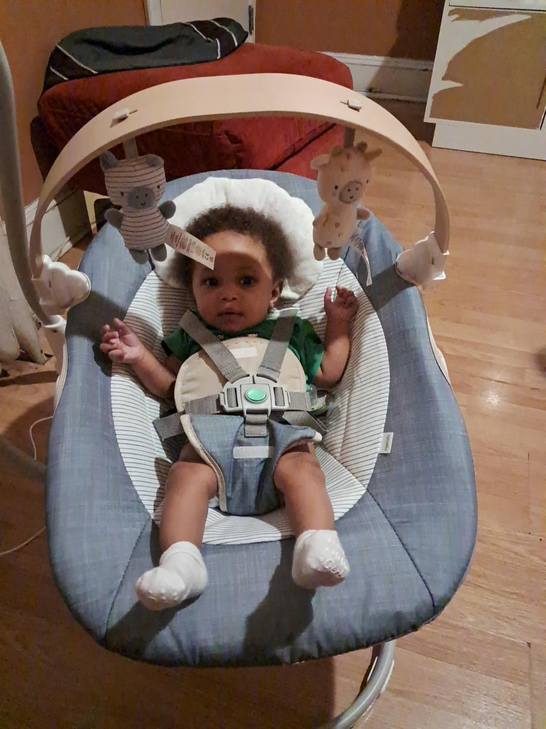 Ingenuity SimpleComfort Lightweight Compact 6-Speed Multi-Direction Baby Swing, Vibrations & Nature Sounds, 0-9 Months 6-20 lbs customer photo 2