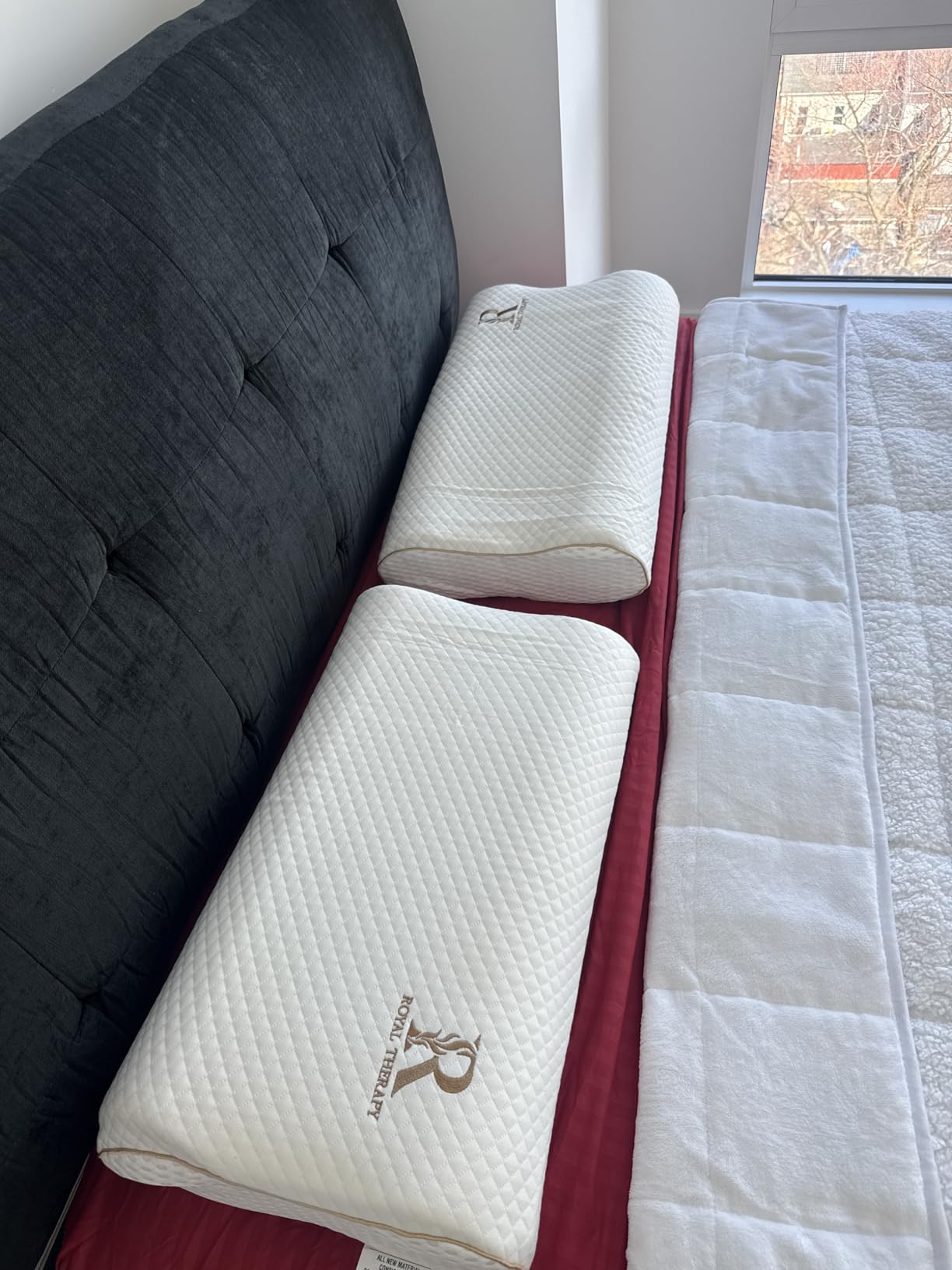 Royal Therapy Memory Foam Pillow, Queen Neck Pain Relief, Contour Cervical Pillow, for Neck and Shoulder Pain, Side, Back and Stomach Sleeper, 24x14x5 inches customer photo 1