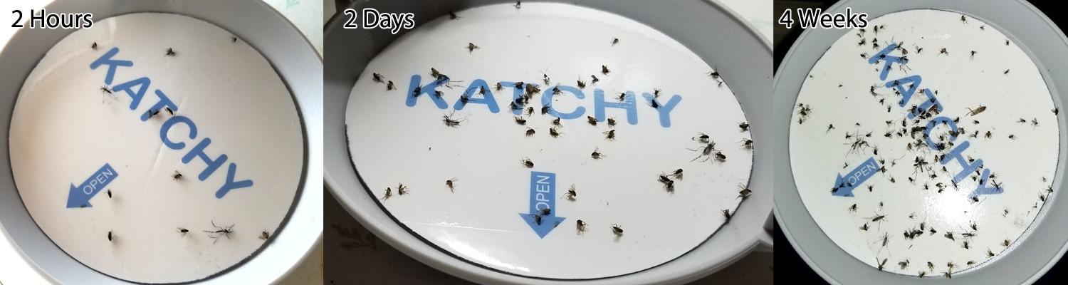 Katchy Indoor Fly Trap - Catcher & Killer for Mosquito, Fruit Fly, Gnat & Small Moth customer photo 2