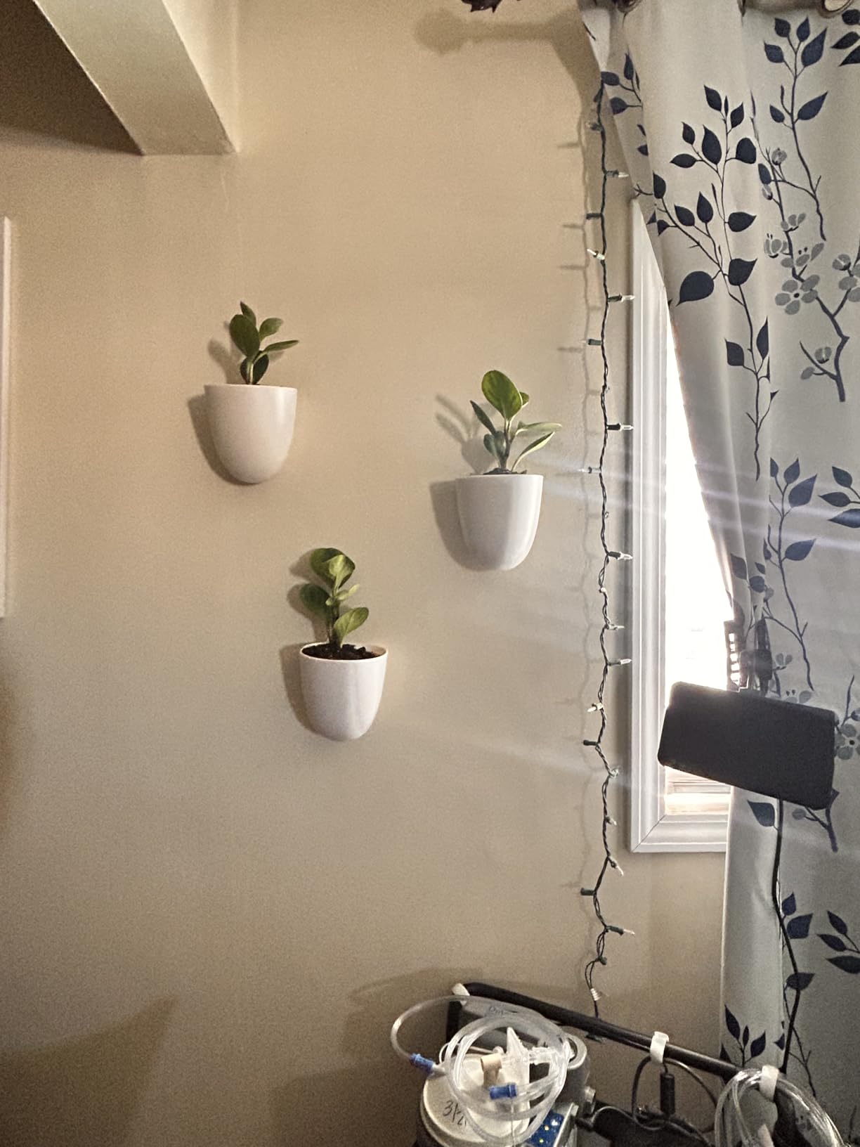 Make Good PlantPod Luxe - Self-Watering Wall Planters (Set of 6) - Easy to Water and Install - Lightweight - Design Your Own Vertical Garden - Wall Planters for Indoor Plants customer photo 2