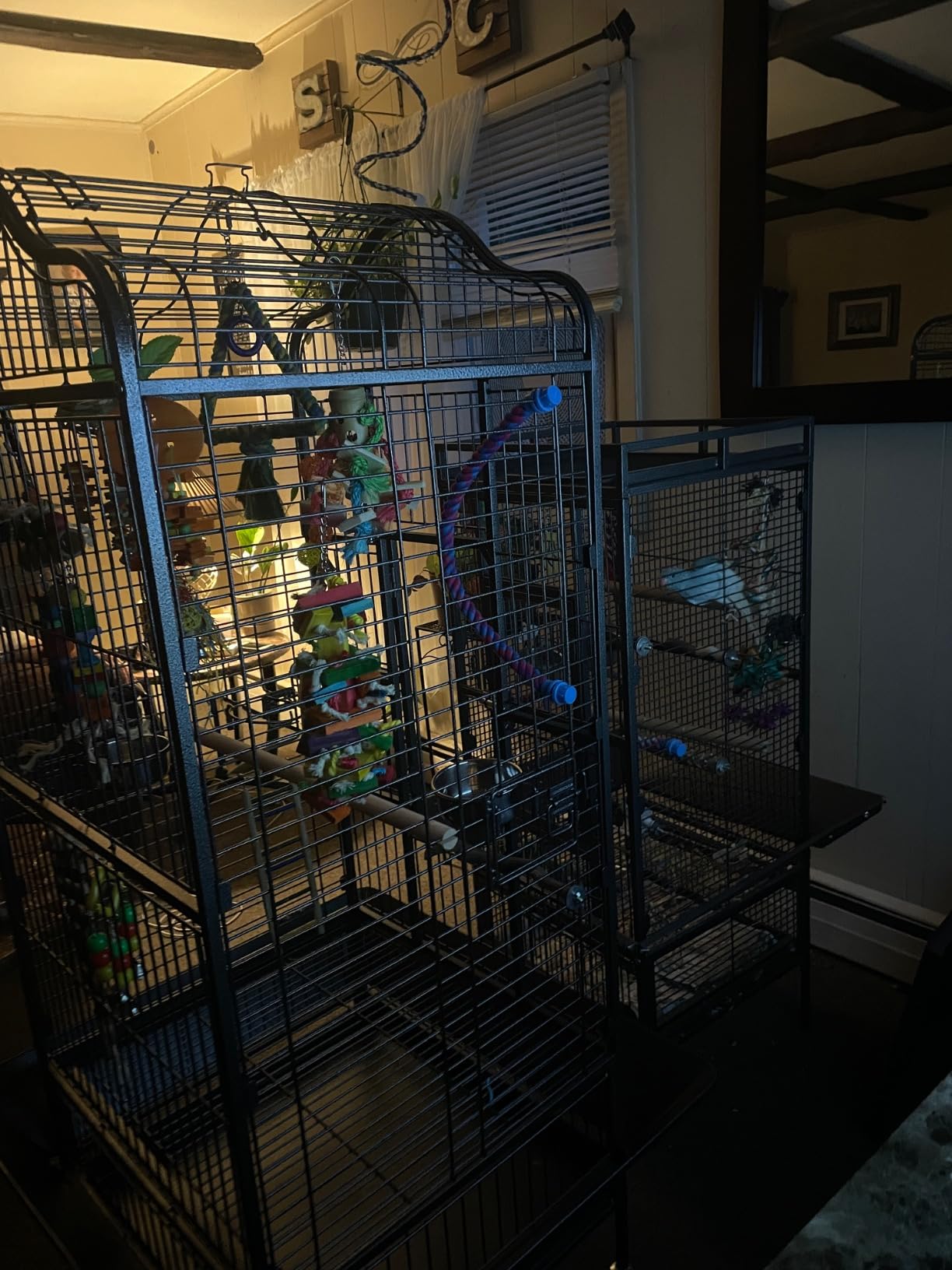 Yaheetech Extra Large Bird Cage 63'' Open Play Top Bird Cage for African Grey Parrots/Amazon Parrot/Caiques/Macaw with 360 Degree Wheels customer photo 1