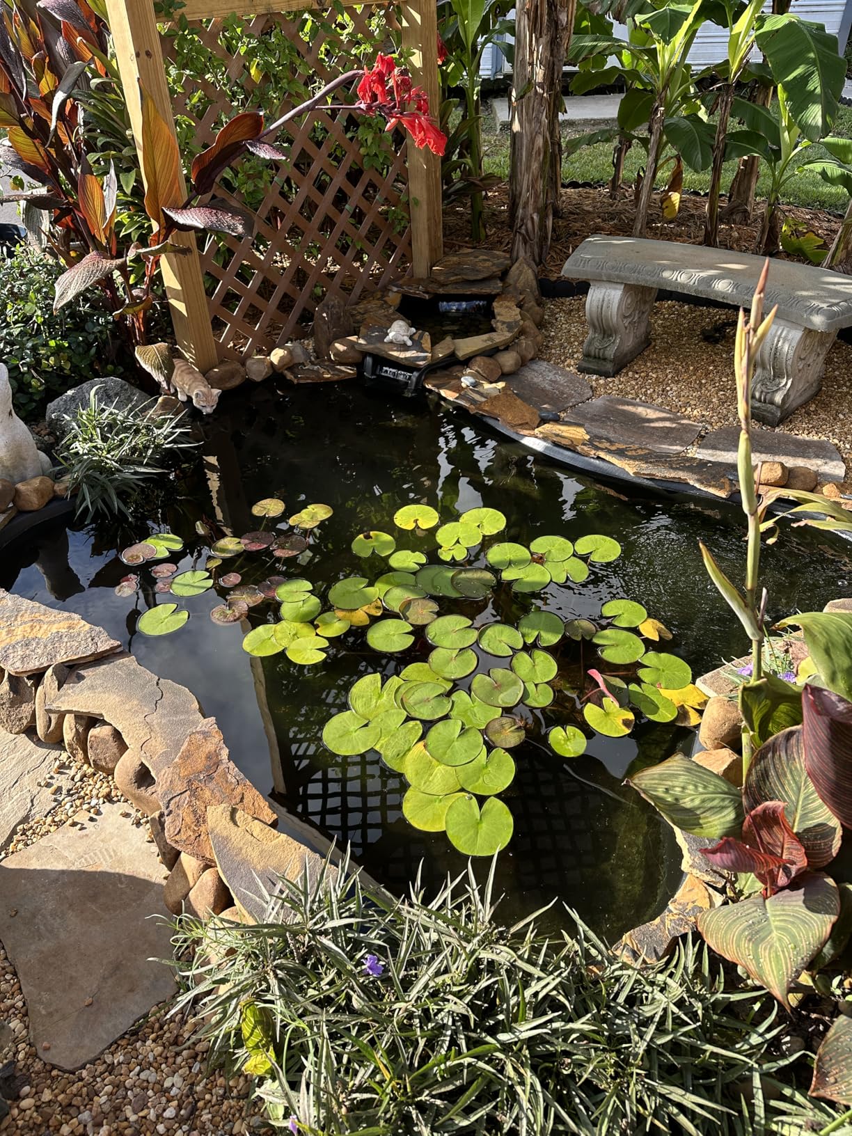 The Pond Guy UltraUV Ultraviolet Pond Water Clarifier, EPA Registered UV Light, 13 Watt customer photo 1