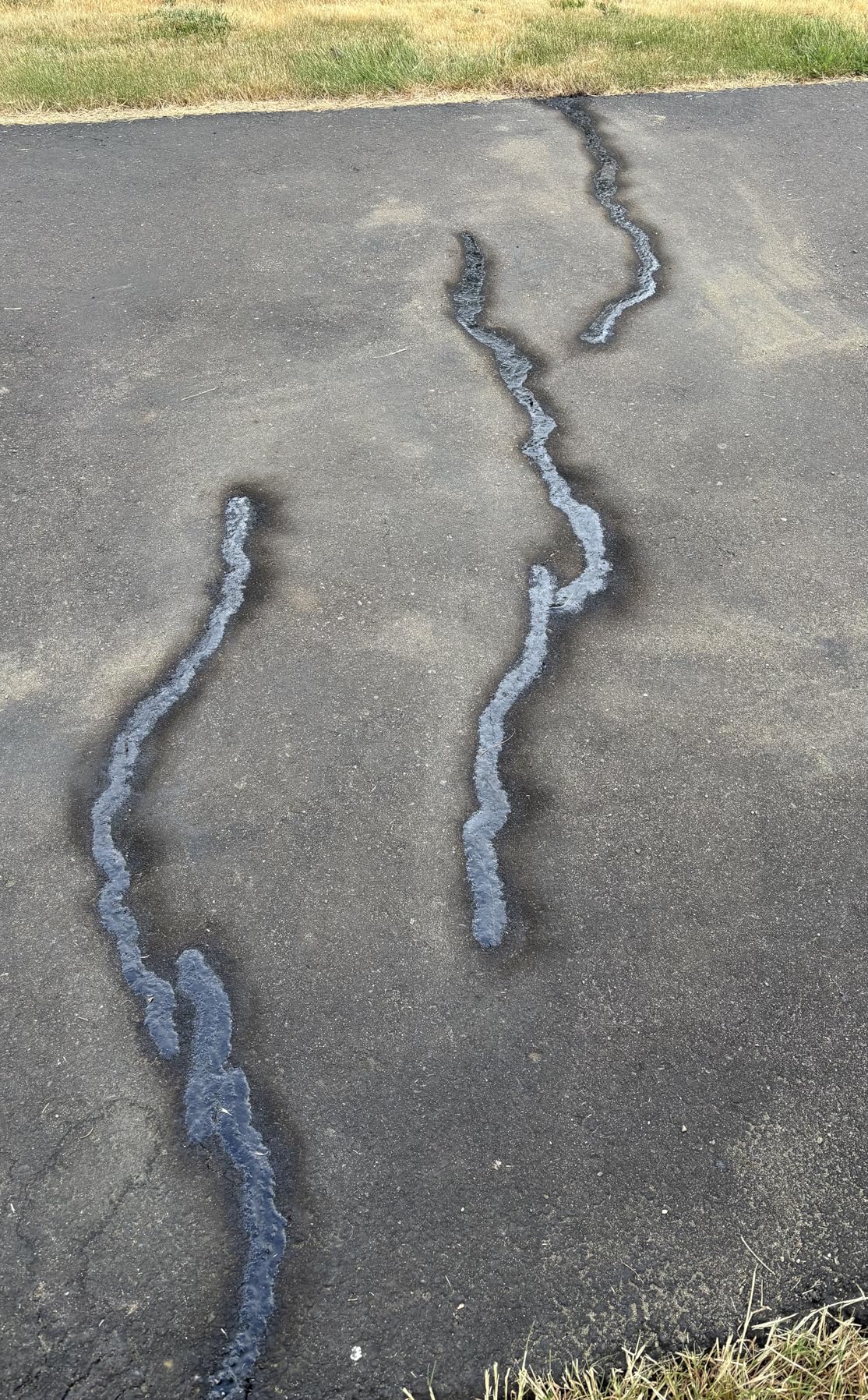 Dalton Enterprises 36099 PLI-STIX 60 Ft. Asphalt and Concrete Crack Filler (2 Pack) customer photo 1