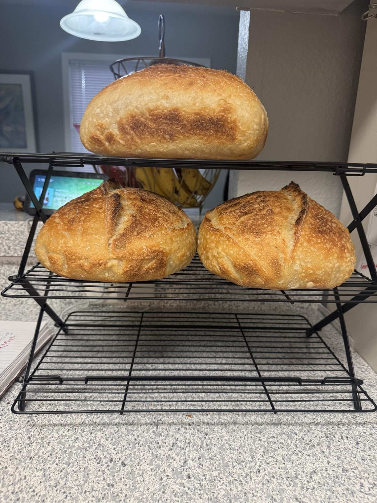 4-Tier Collapsible Cooling Rack For Baking - Expandable & Foldable Cookie Cooling Wire Rack - Premium Quality & Sturdy Legs customer photo 1