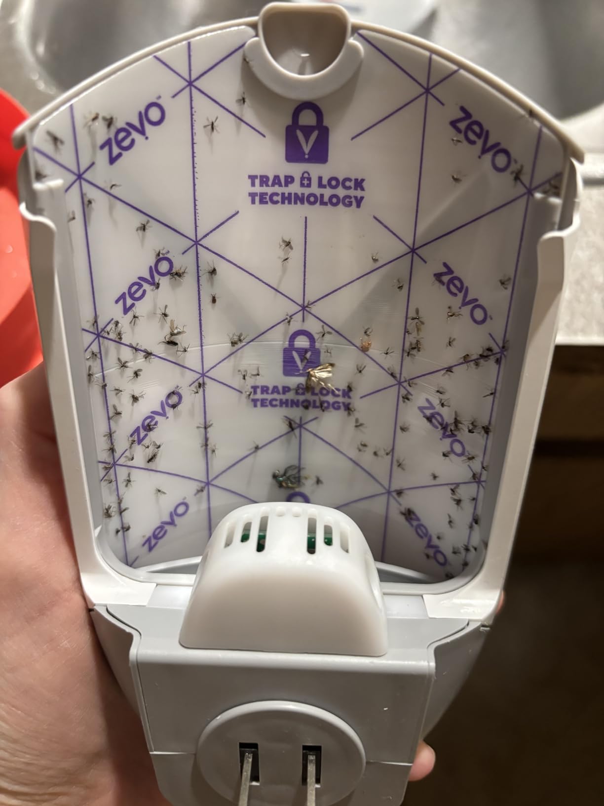 Zevo Flying Insect Trap & Cartridge - Plug in Fly Trap & Indoor Bug Catcher for Gnats, House & Fruit Flies - Mess-Free - Use in Any Room - Uses Blue & UV Light customer photo 2