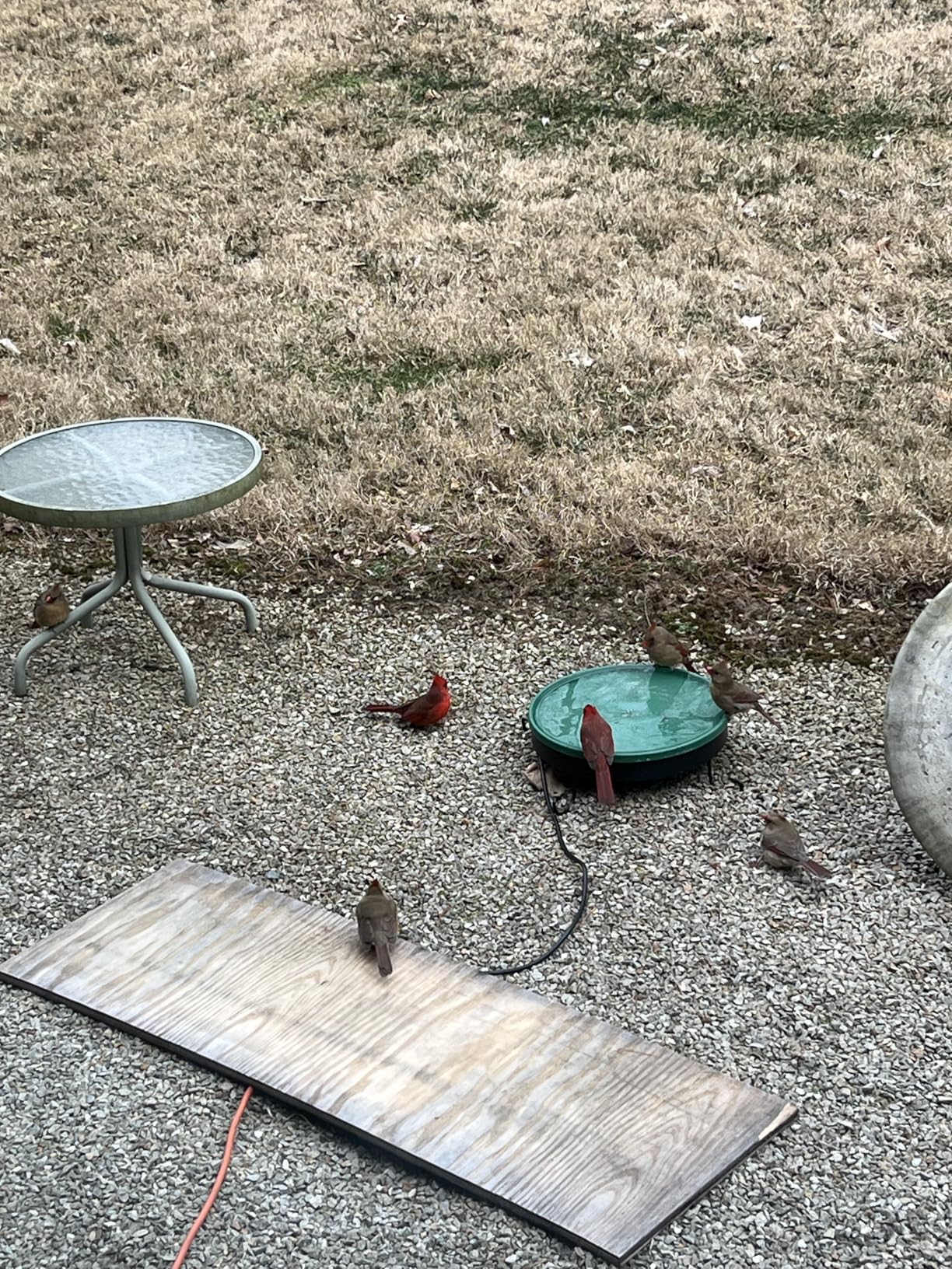 GESAIL Heated Bird Bath for Outdoors for Winter, 3 Easy Ways to Mount Detachable Bird Bath Bowl, 75W Heated Bird Baths with Thermostatically Controlled for Garden Yard Patio Lawn, Blue customer photo 2