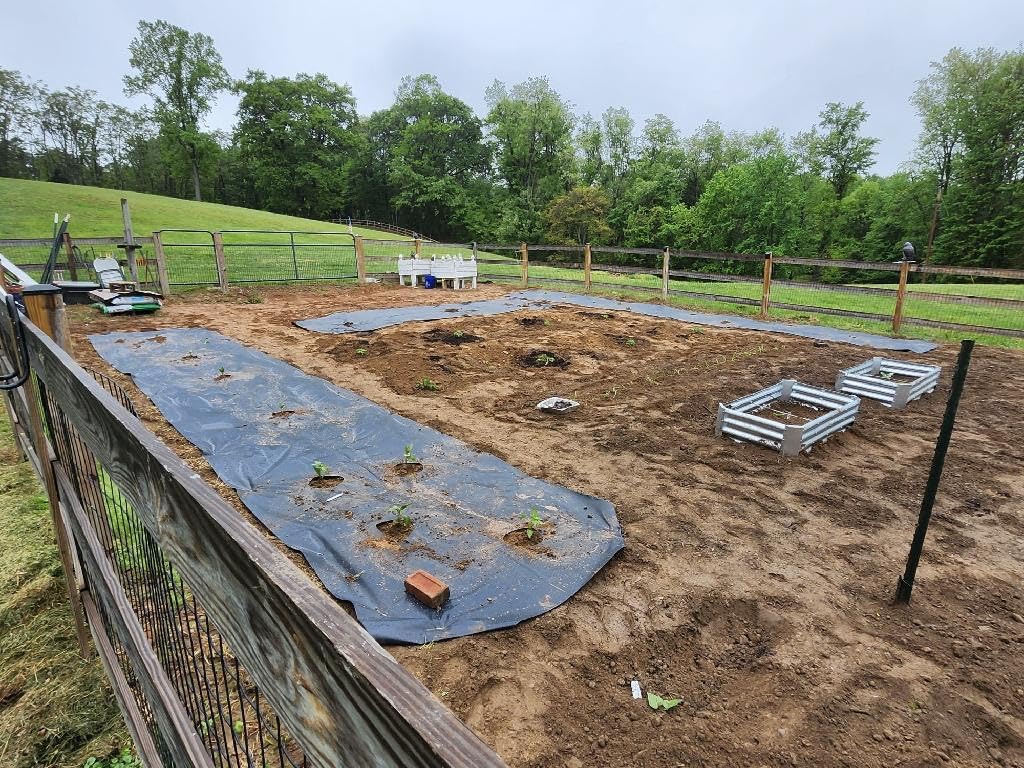 Farm Plastic Supply - Black Plastic Sheeting - 10 mil - (20' x 100') - Black Plastic Tarp, Polyethylene Vapor Barrier Plastic Sheeting, Painters Tarp, Roll of Heavy Duty Plastic customer photo 2