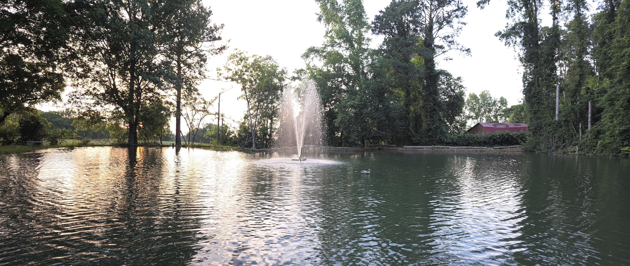 WaterRebirth (9800GPH-620W, UL listed) High Flow Submersible Pond Water Aquarium Pump Multi Scenario Application customer photo 1