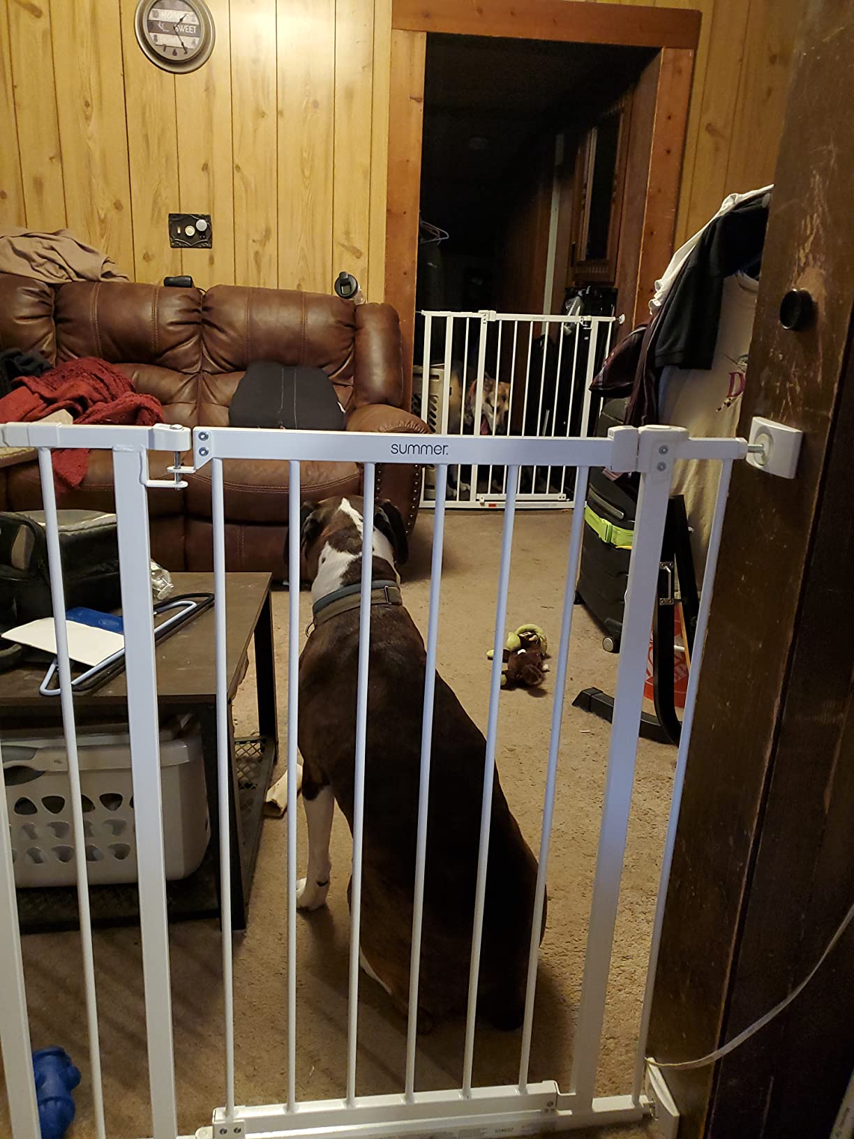 Summer Infant Everywhere Extra Tall & Extra Wide Pet and Baby Gate, 28.75