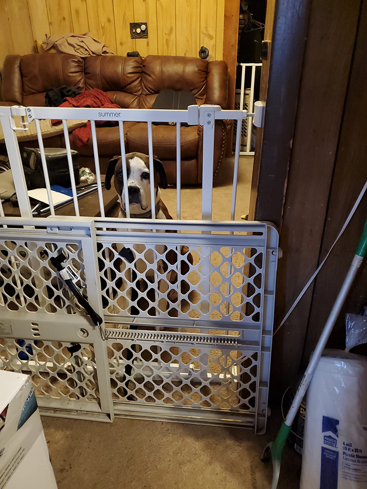 Summer Infant Everywhere Extra Tall & Extra Wide Pet and Baby Gate, 28.75