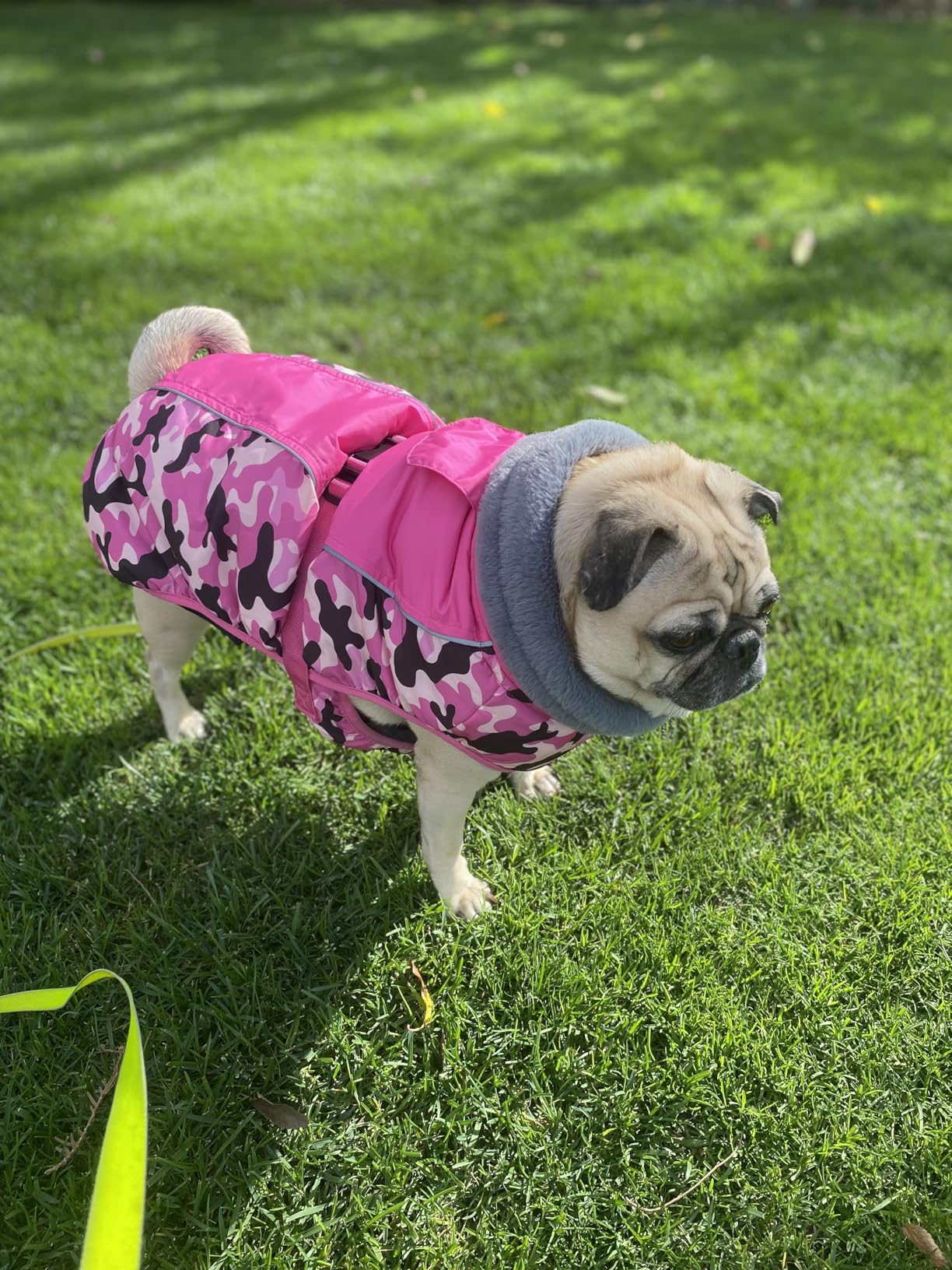 IECOii Extra Warm & Reflective Dog Jacket - Fleece Turtleneck Winter Coat - Adjustable Buckles - Small to Extra Large - Perfect for Cold Weather customer photo 2