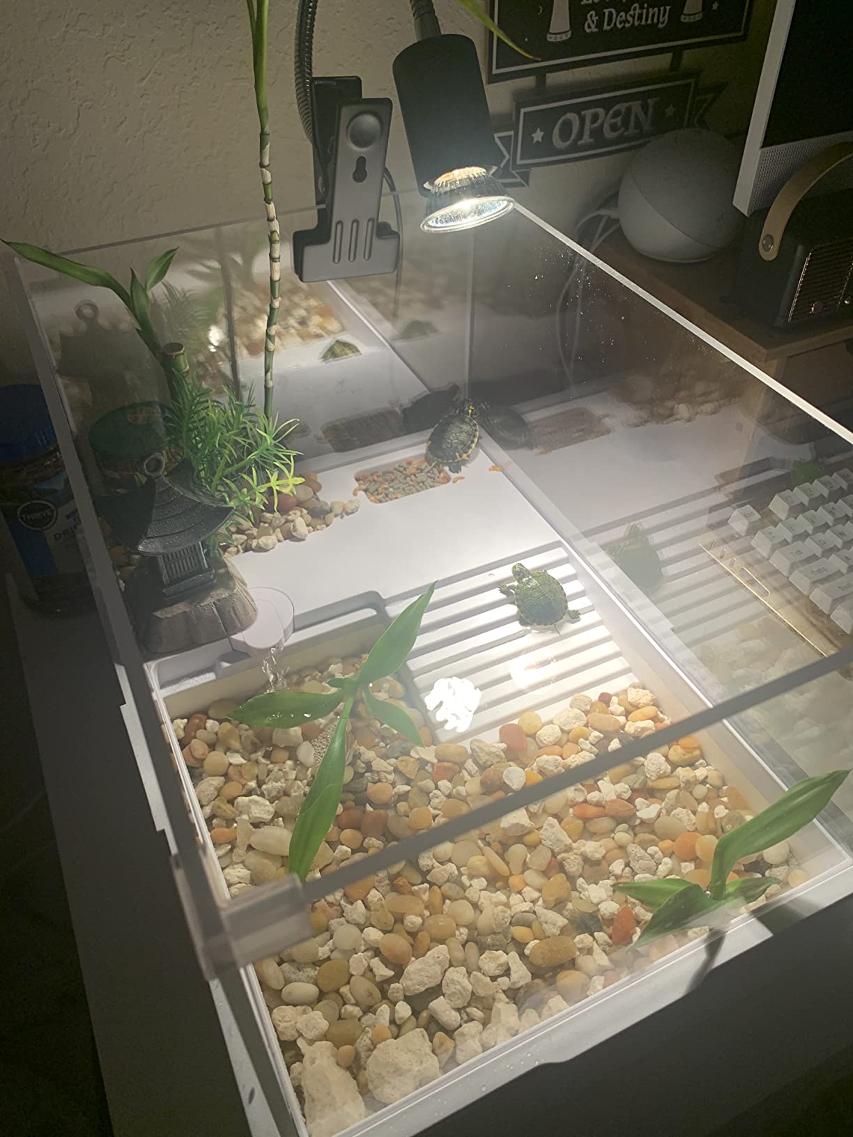 Acrylic Turtle Tank Aquarium with Quiet Water Pump, 3.96gallons, 360° View, Easy to Assemble, Durable for Small Turtles & Reptiles customer photo 1