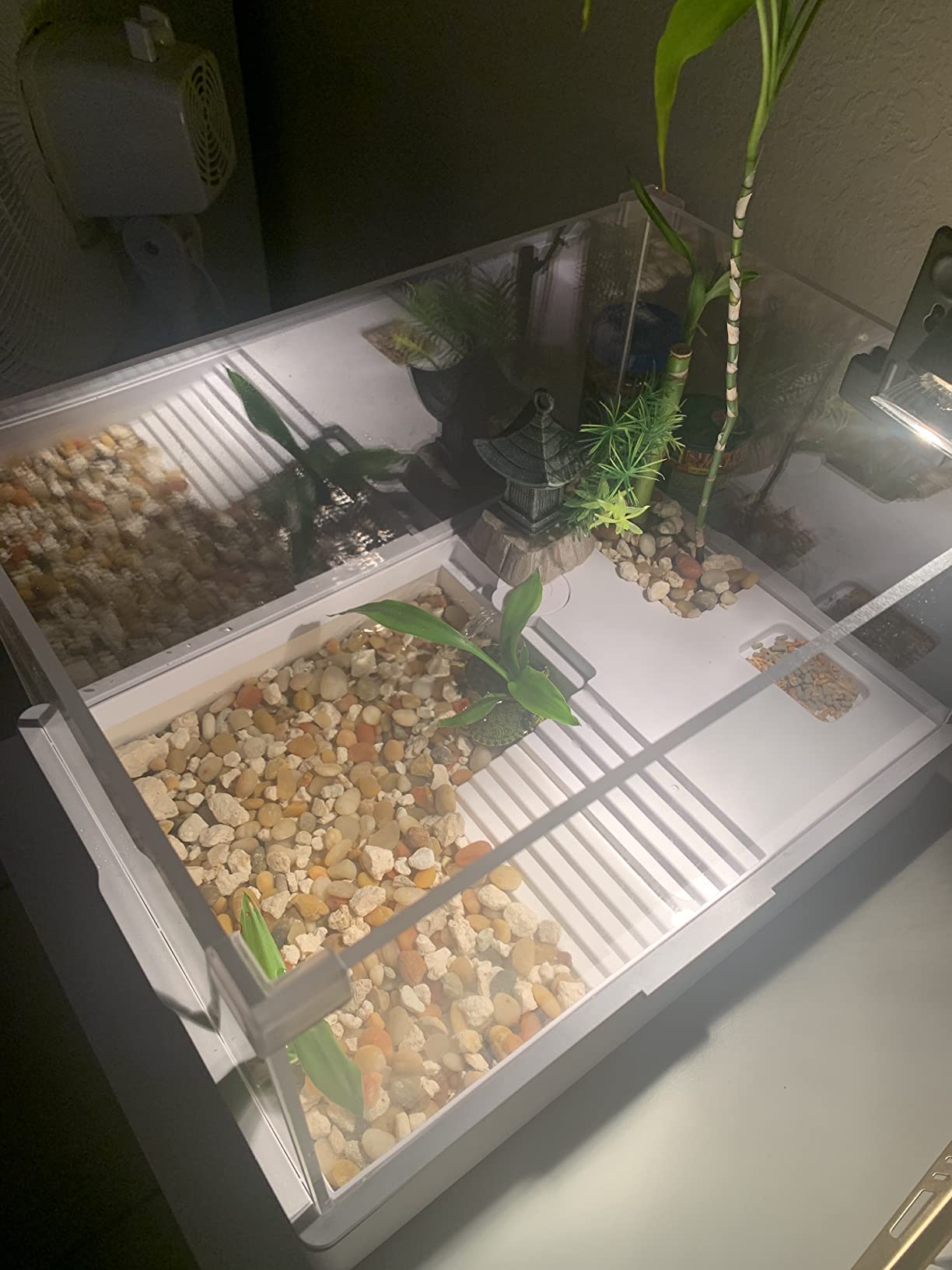 Acrylic Turtle Tank Aquarium with Quiet Water Pump, 3.96gallons, 360° View, Easy to Assemble, Durable for Small Turtles & Reptiles customer photo 2