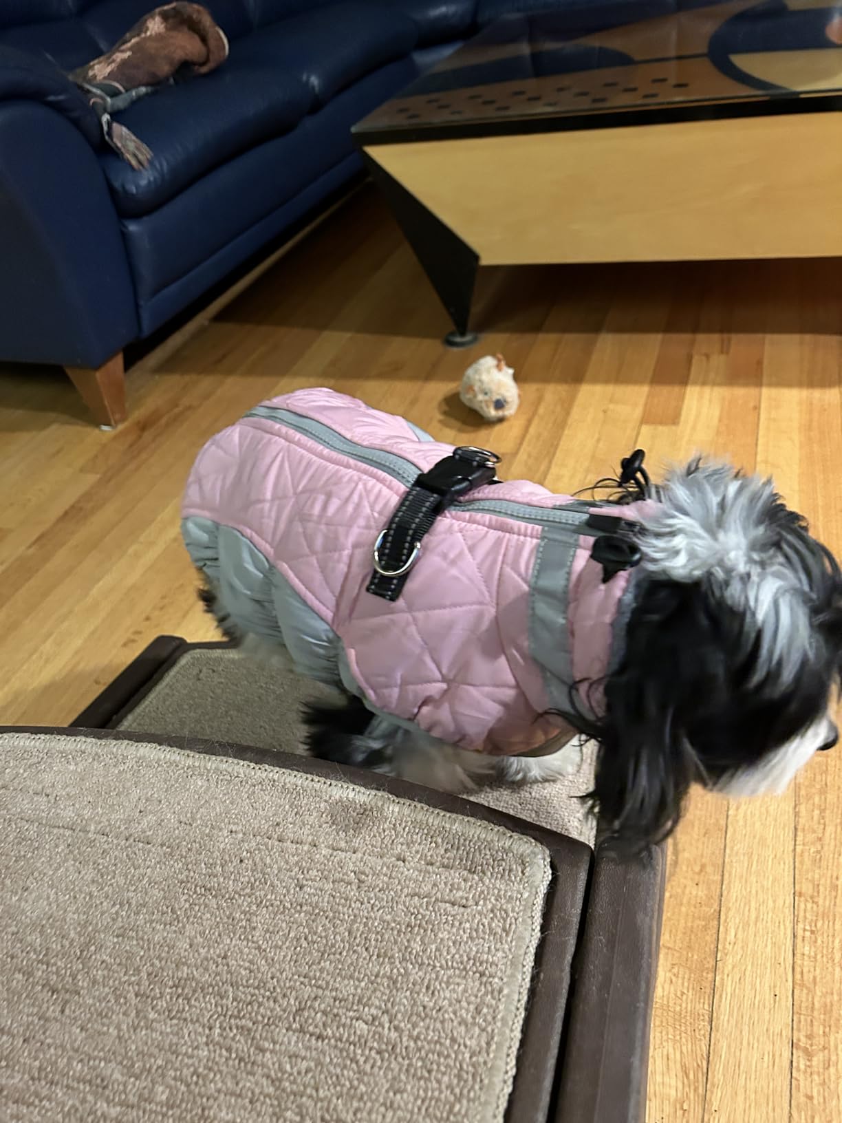 AOFITEE Dog Coat, Warm Dog Winter Coat, Reflective Cold Weather Dogs Puffer Jacket with Harness Built in, Waterproof Pet Fleece Vest Snowsuit for Small Medium Large Dogs, Pink L customer photo 1