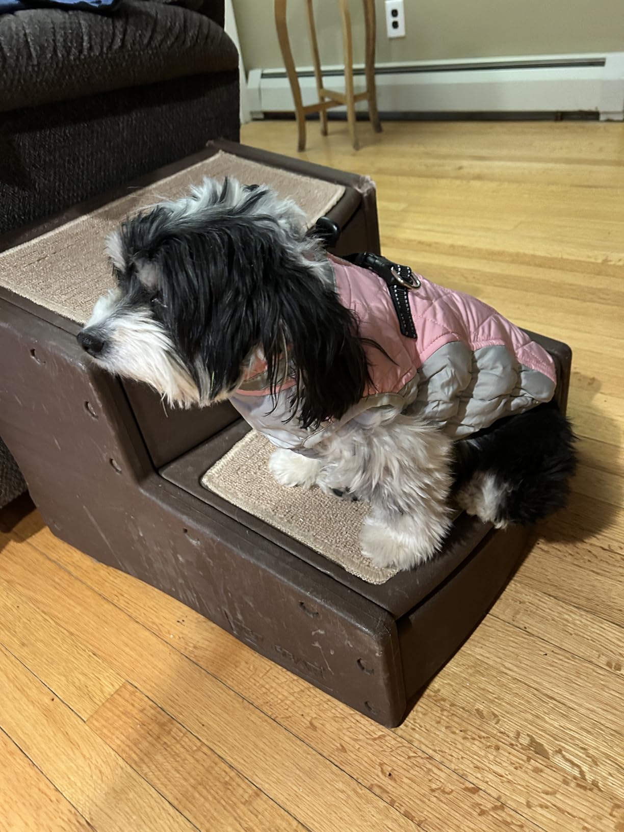 AOFITEE Dog Coat, Warm Dog Winter Coat, Reflective Cold Weather Dogs Puffer Jacket with Harness Built in, Waterproof Pet Fleece Vest Snowsuit for Small Medium Large Dogs, Pink L customer photo 2