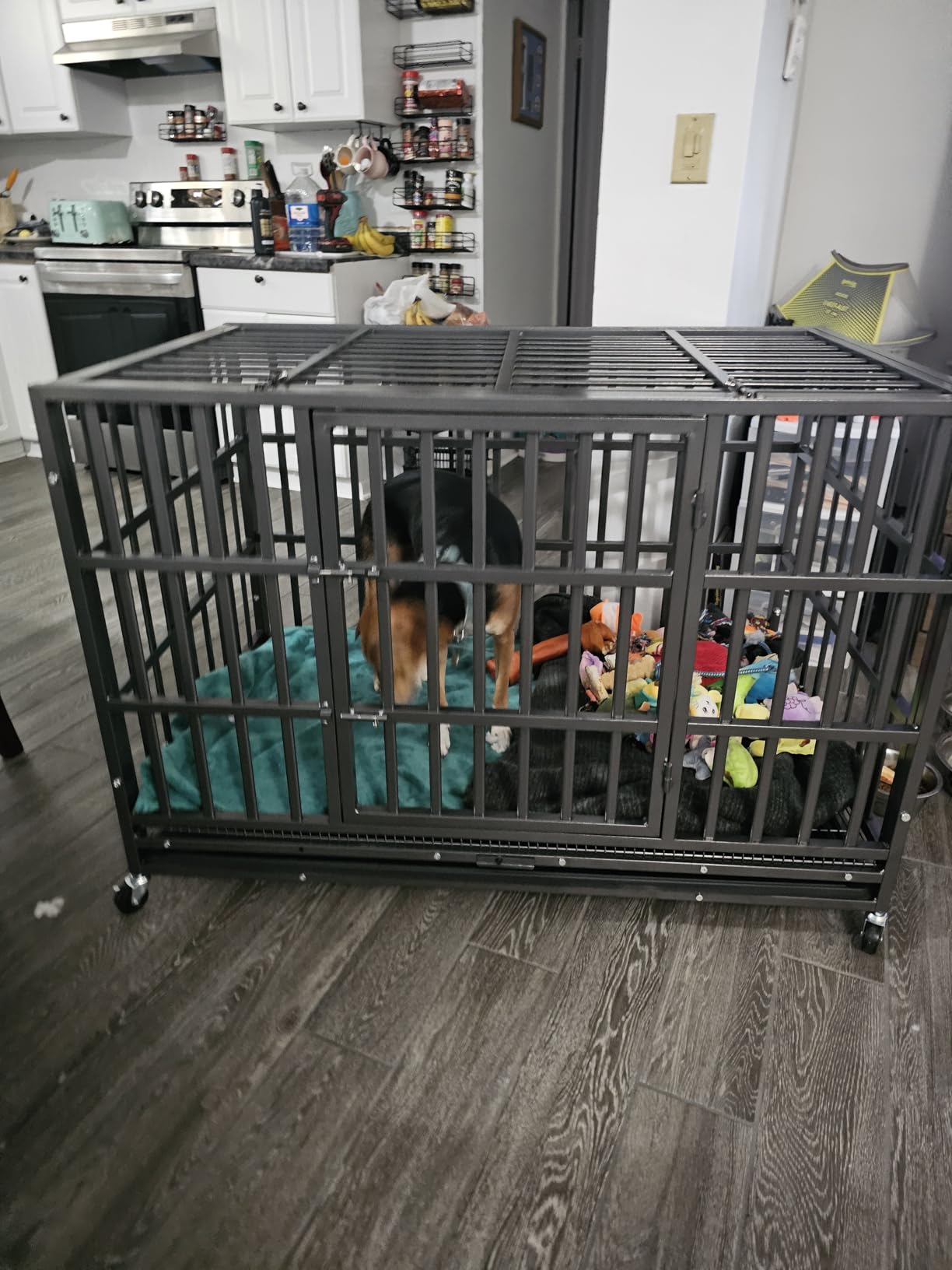 48 Inch Heavy Duty Dog Crate, Indestructible Escape-Proof Dog Kennel for High Anxiety Large Dogs, Strong Metal Pet Cage with Double Doors, Lockable Wheels & Removable Tray customer photo 2