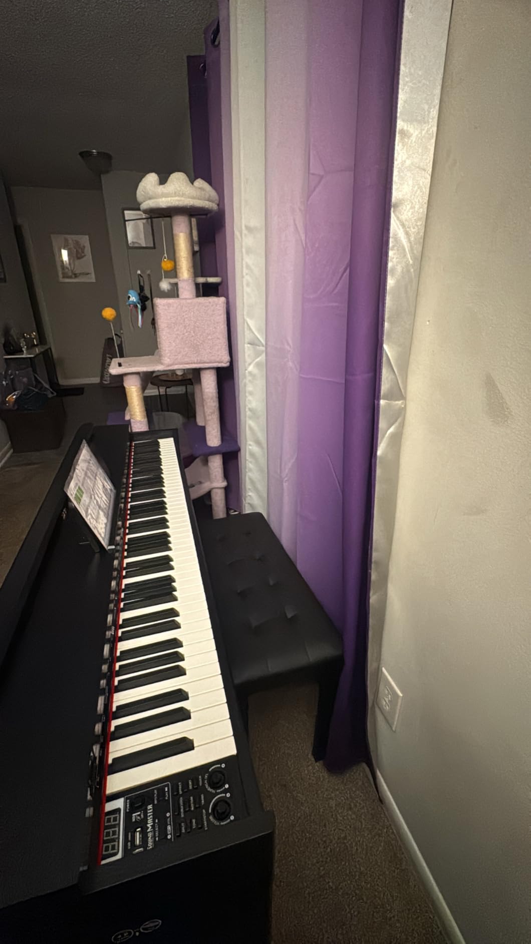 88-Key Weighted Digital Piano, Full-Size Semi-Weighted Upright Flip Electric Keyboard Piano with 3 Pedal and Multi-Functional Keyboard for Beginner (with Bench, Black) customer photo 2