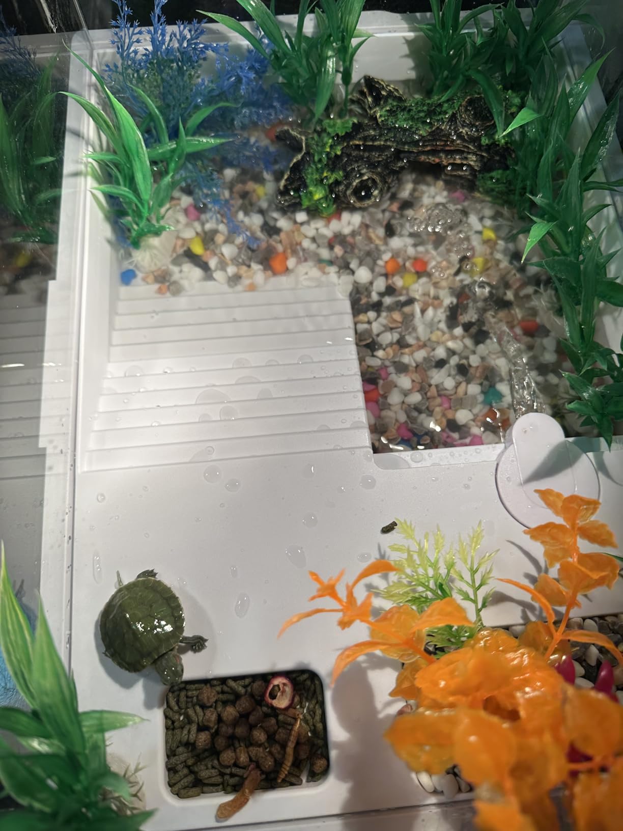 Small Turtle Starter Kit with Integrated Pump, Basking Light, Clear Acrylic 3-Layer Easy Cleaning Turtle Tank Aquarium for Small Reptiles customer photo 2