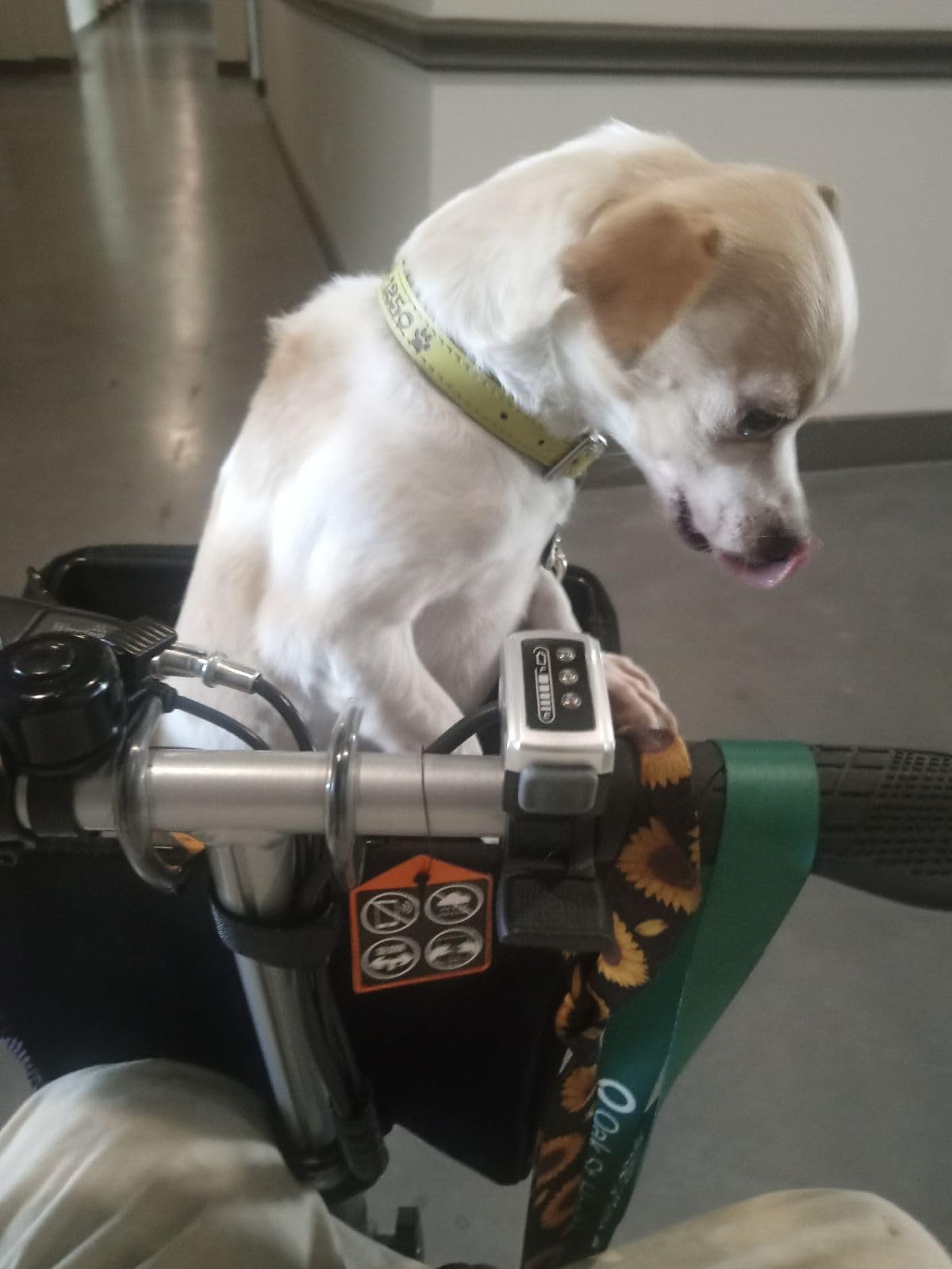 SuperHandy Passport Mobility Scooter - Foldable, 3 Wheel, Airline Travel Friendly - 13 Mile Range, Includes 2 Removable 48V Lithium-ion Batteries & Charger (330 Lbs) customer photo 1