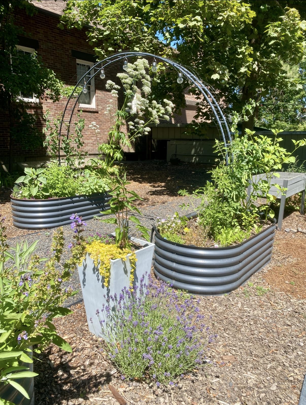 Queension Extra Large Wedding Arch for Ceremony 8.5Ft Wide 7.4Ft High, Metal Balloon Arches Backdrop Stand with Base for Party Supplies, Outdoor Garden Trellis for Climbing Plant, Round Frame, Black customer photo 2