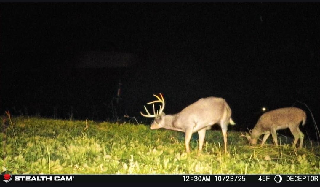 Stealth Cam Deceptor No Glo 80ft Detection & IR Range 40MP Photo 1440P HD Video Capture Remote App Control Wireless Hunting Cellular Trail Camera - Available on AT&T & Verizon customer photo 2