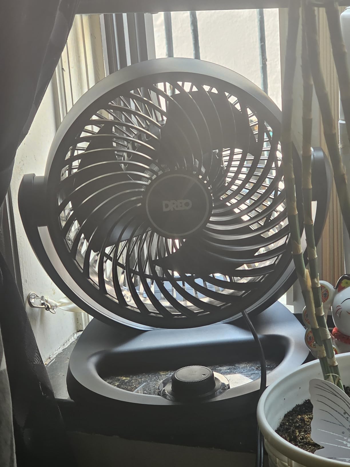 DREO Fan for Bedroom, 12 Inches, 70ft Powerful Airflow, 25db Quiet Table Air Circulator Fans for Whole Room, 120° Adjustable Tilt, 3 Speeds, Desktop Fan for Home, Office, Kitchen customer photo 2