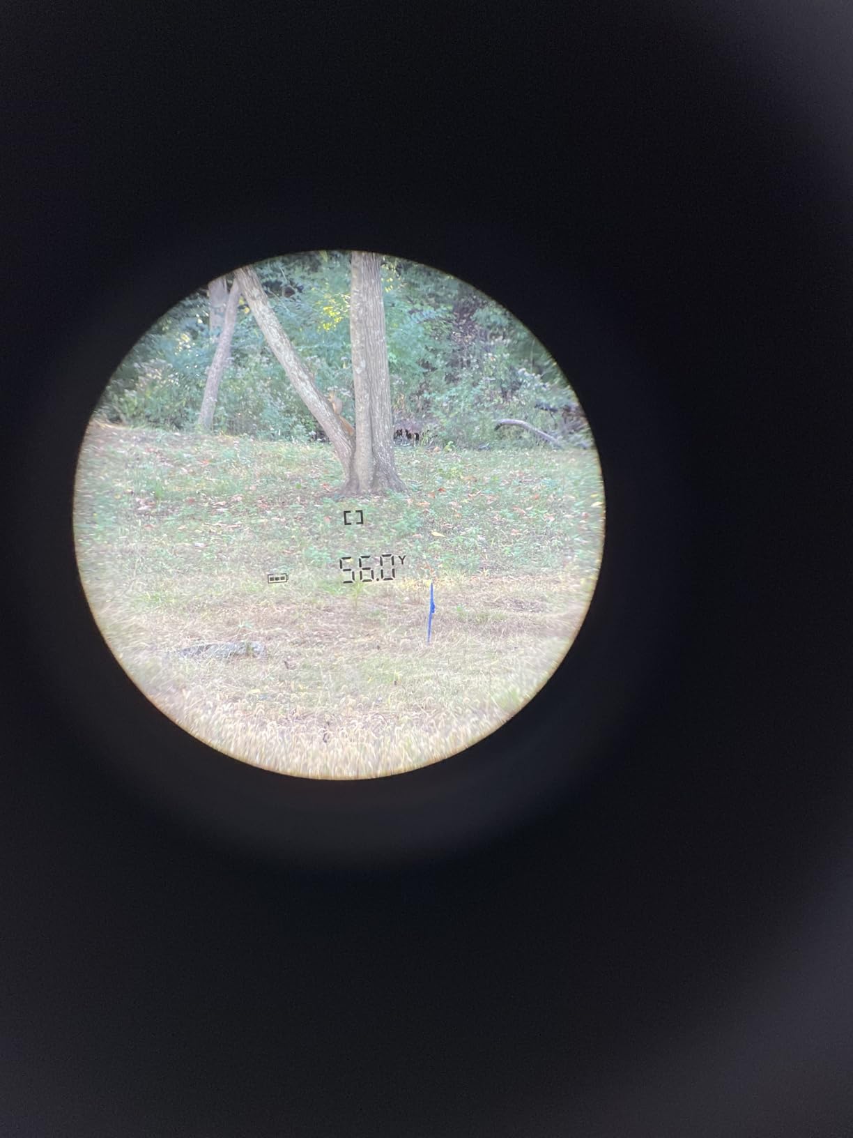 Cobalt Q-4 Slope Golf Rangefinder - Tournament Legal, Precision Laser Technology, 6X Magnification, 1,300-yd Range, HD/ED Optics customer photo 2