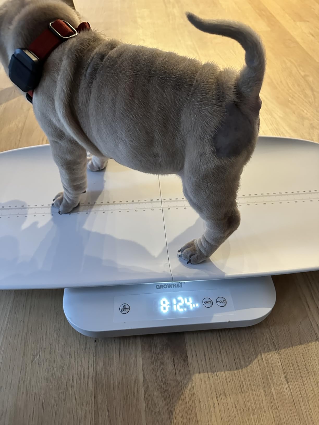 Baby Scale, Multifunctional Baby Weight Scale, Pet Scale for Puppy, Cat, Adult Scale Up to 330lbs, Accurate Digital Scale with Hold Function, 27-inch Height Measurement, 5 Units, LED Screen customer photo 2
