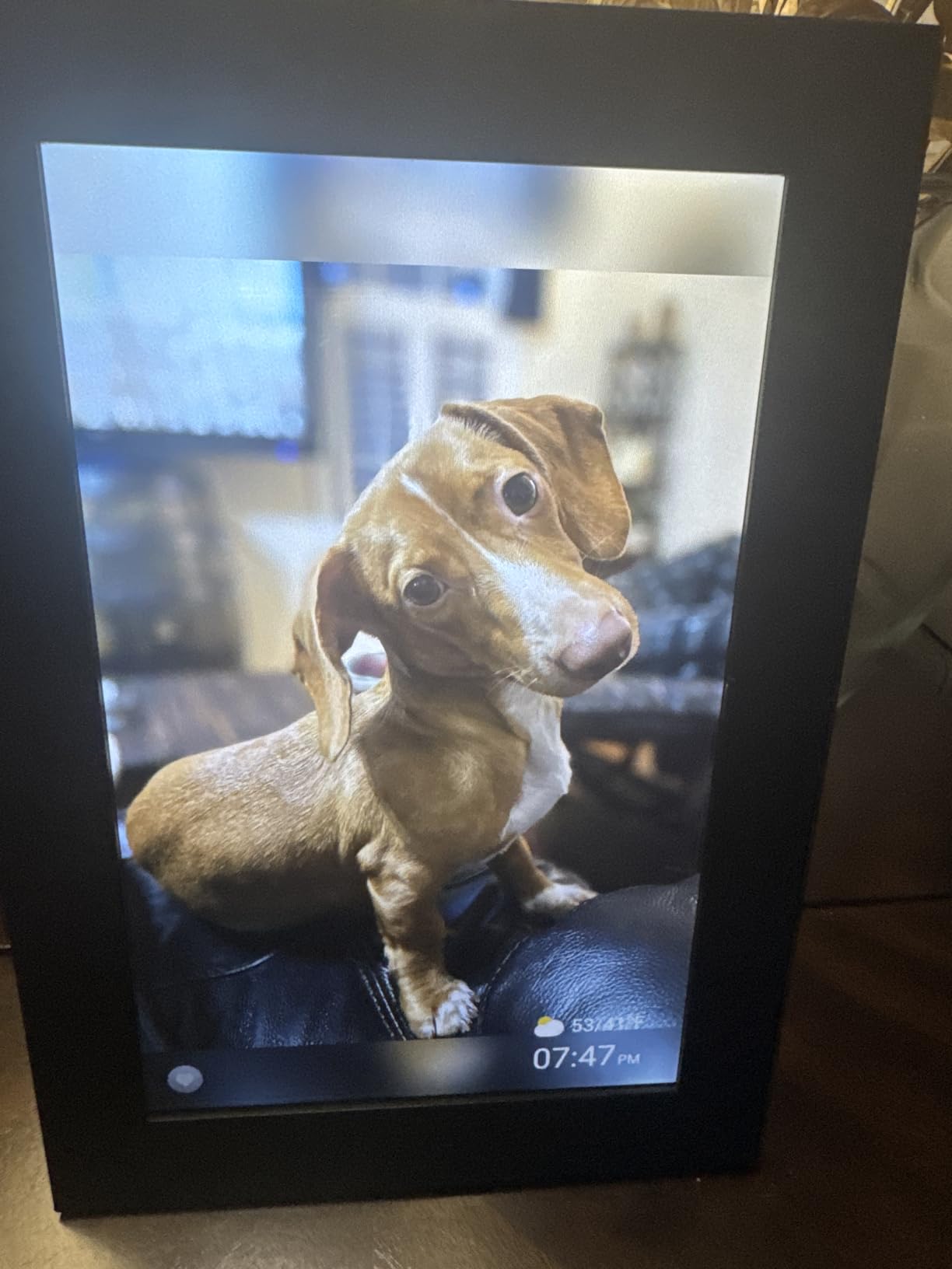 Uhale Digital Picture Frame 32GB Storage 10.1 Inch WiFi Electronic Photo Frames SD Card Slot IPS Touch Screen HD Display Auto Rotate Slideshow Share Videos Photos Instantly customer photo 1