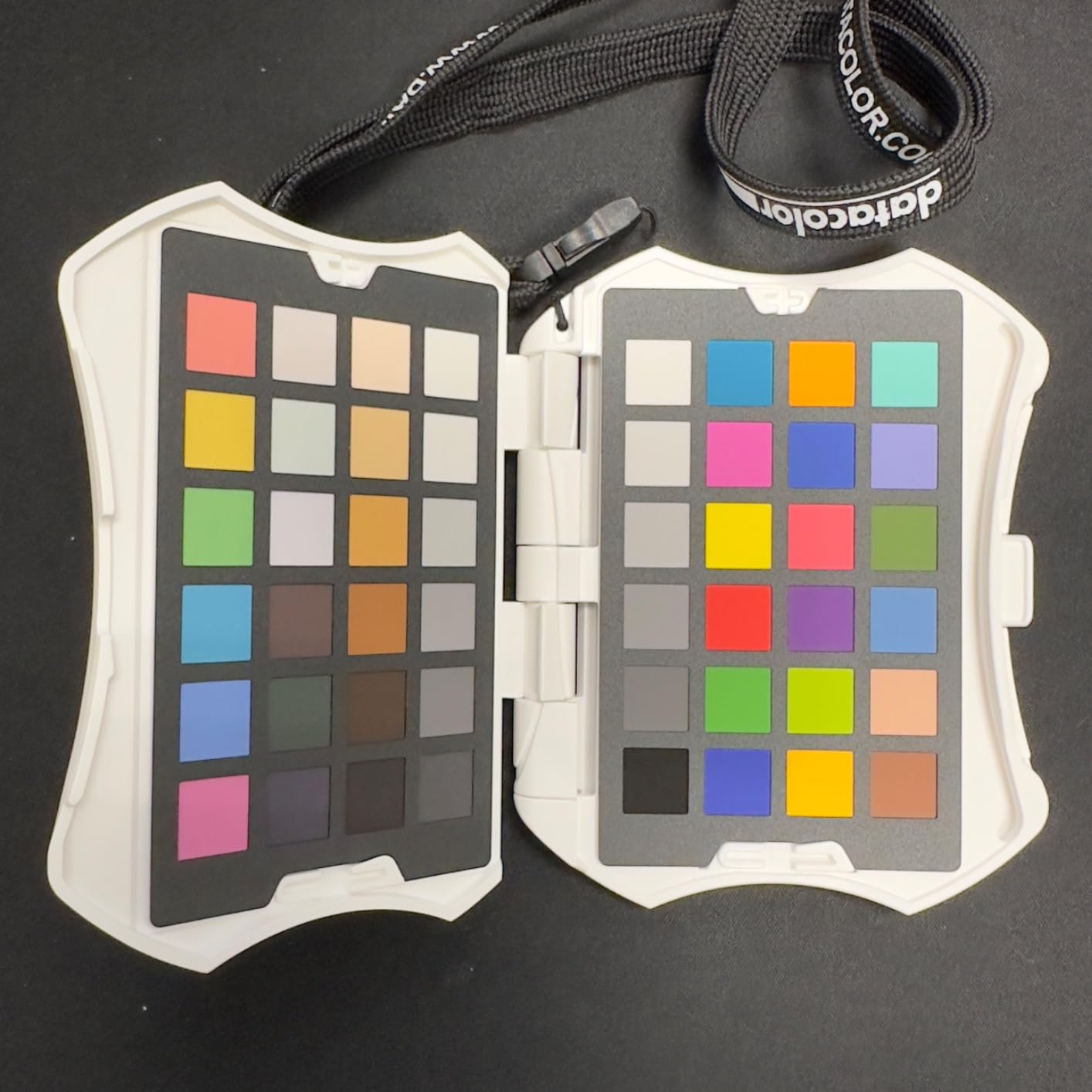 Datacolor Spyder Checkr Photo for Color Accuracy & Consistency, Portable Color Matching Tool with Ergonomic Case, 62 Color Targets, Color Correction Chart for Photography & Portraits customer photo 2