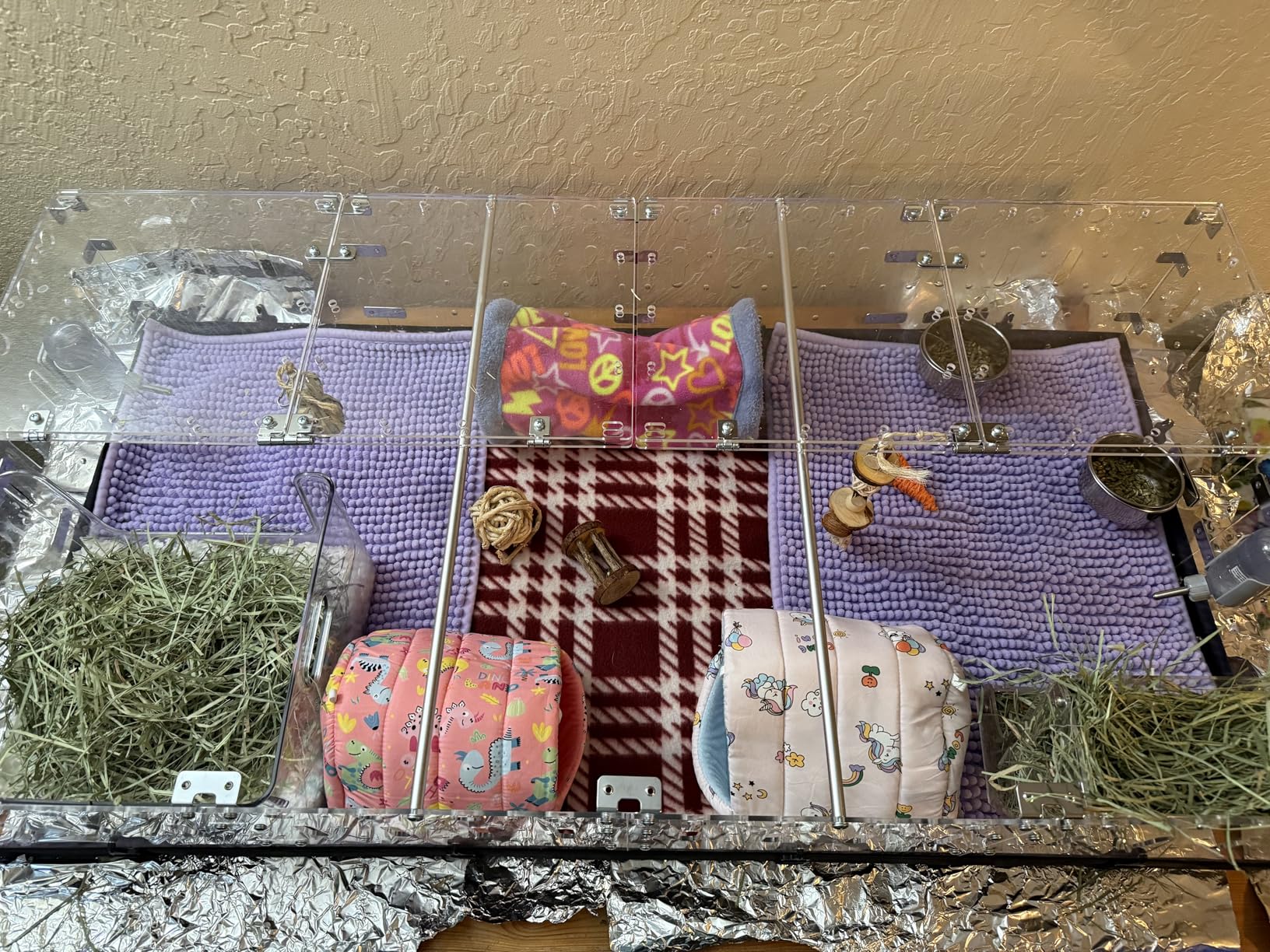 GuineaLoft Acrylic Cage (Model-A) - Large 4x2ft Open Cage for Guinea Pigs, Rabbits, Button Quails, Hedgehogs, Small Animals that Need Roaming Space customer photo 1